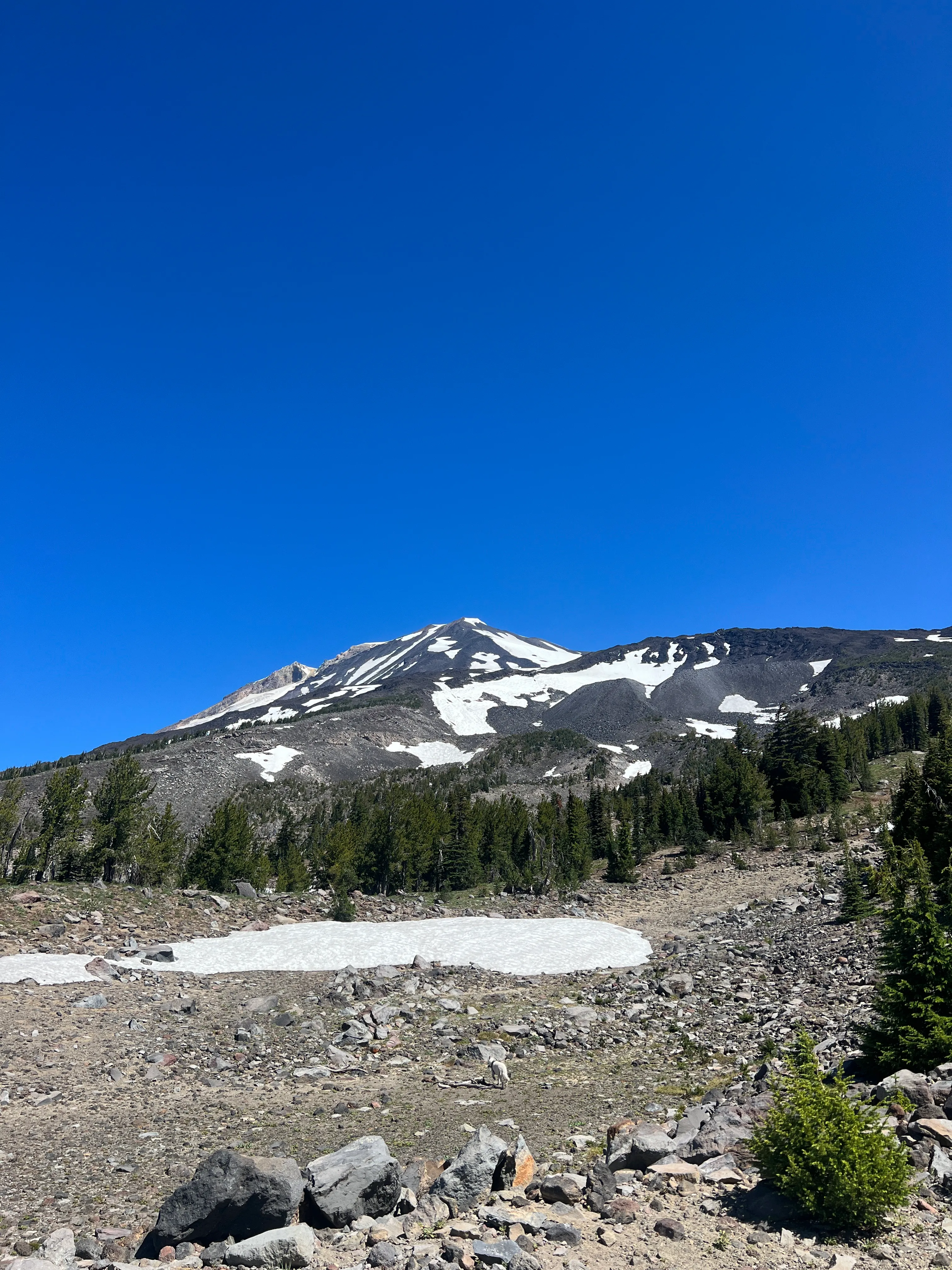 The South Spur route and snow conditions on Mount Adams, seen from below