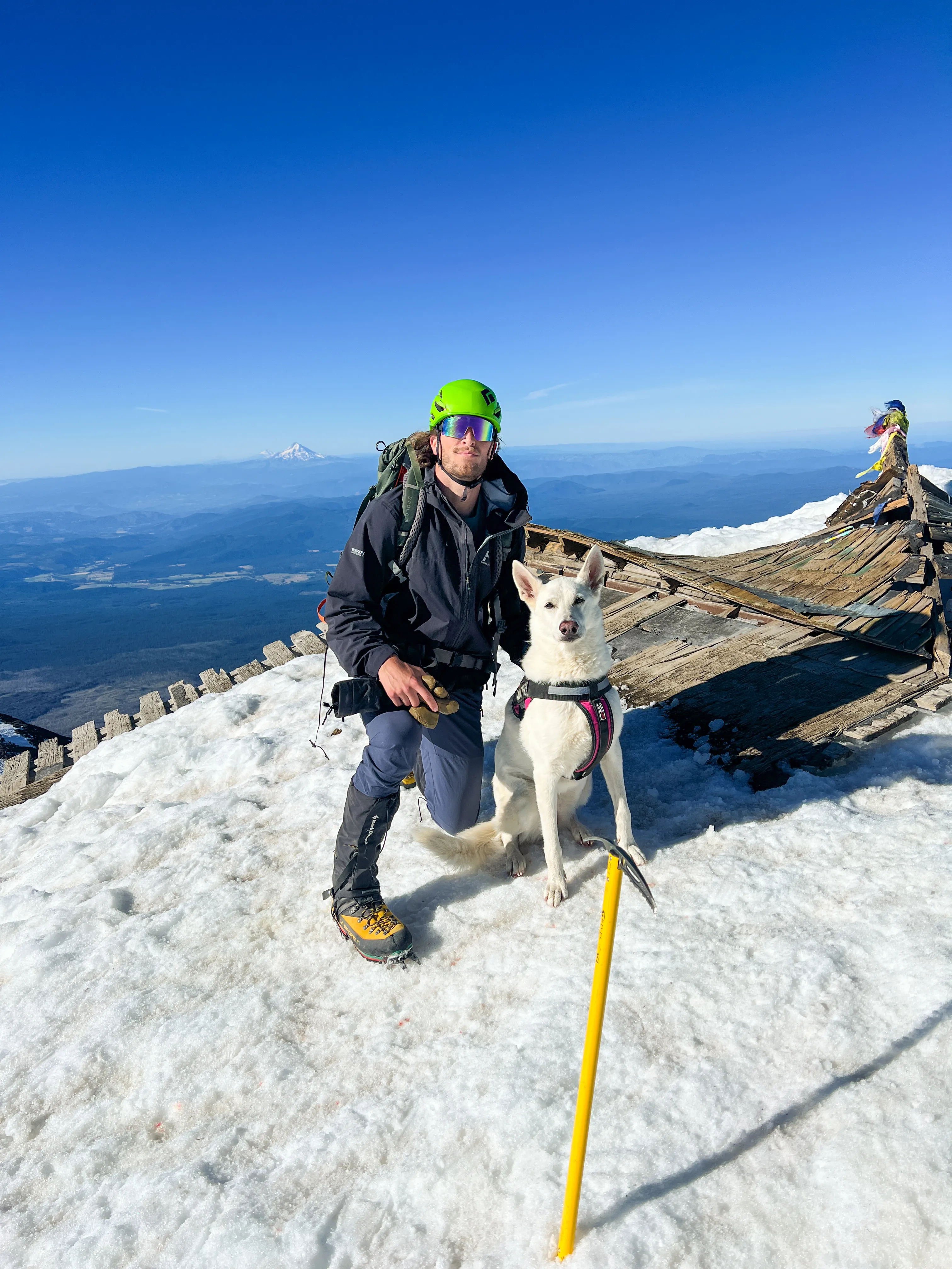 Stella's beat-up paws, and she still made the true summit of Mount Adams