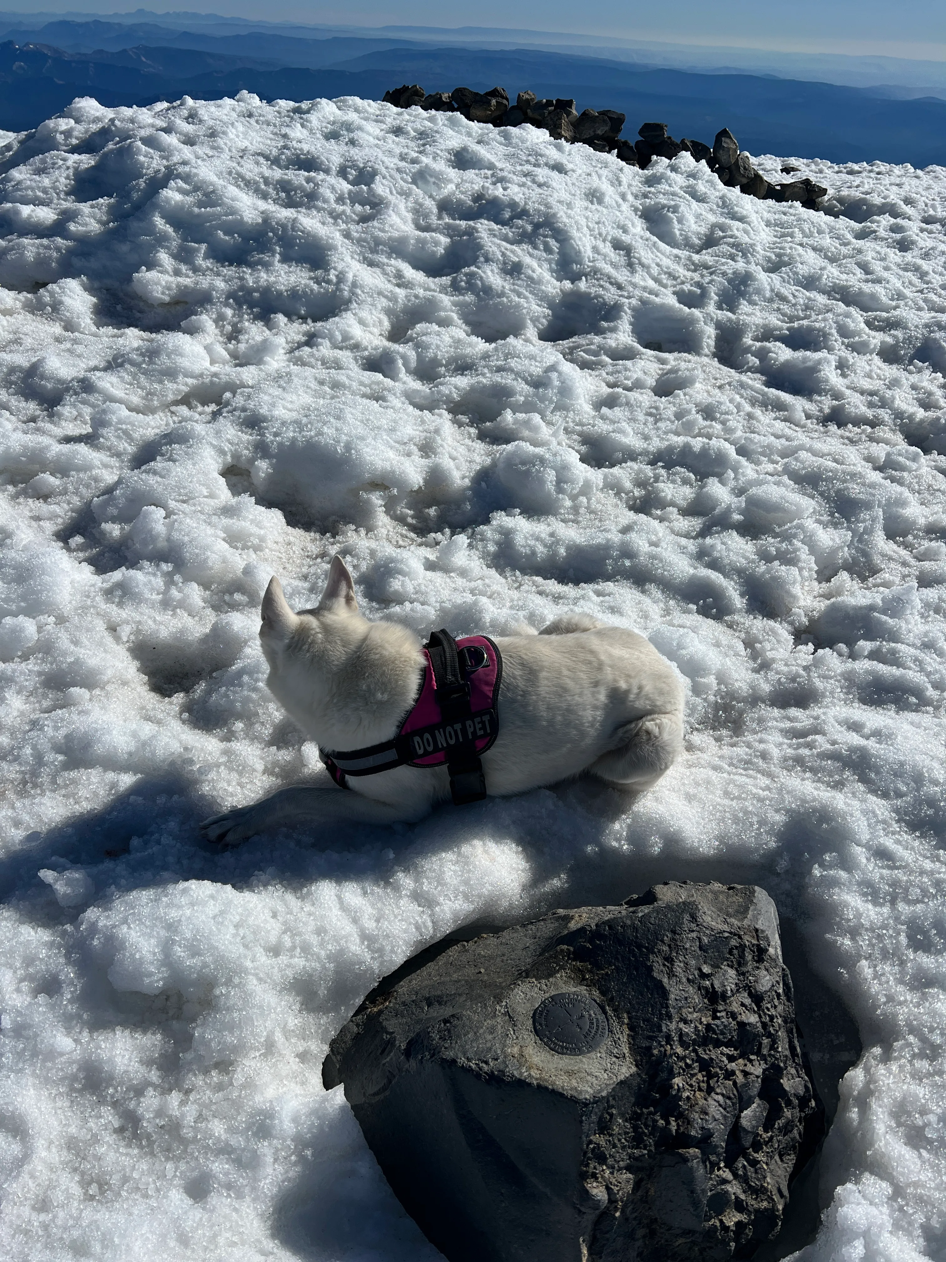 Stella letting me know it was time to descend