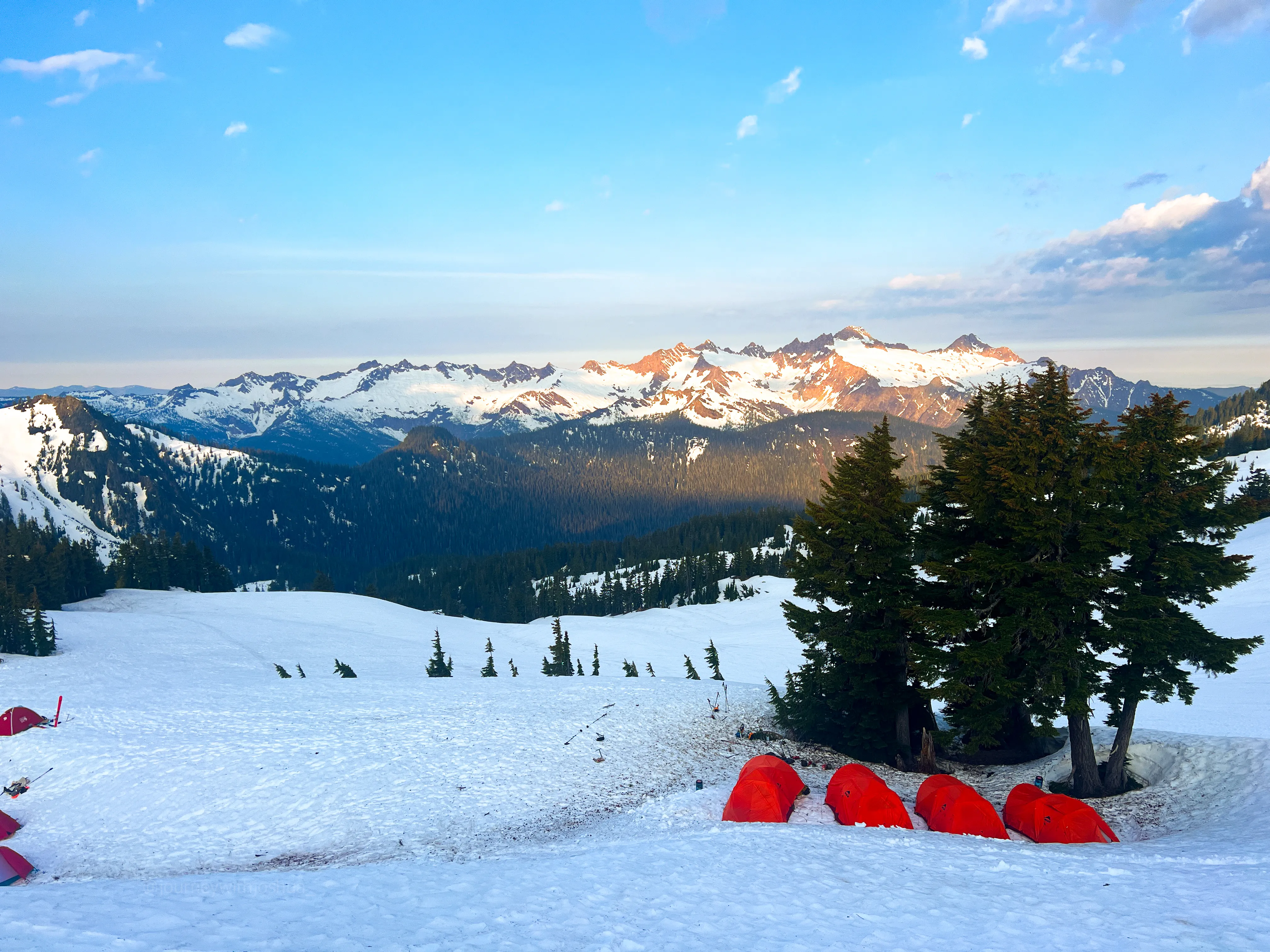 High camp dug in near the trees