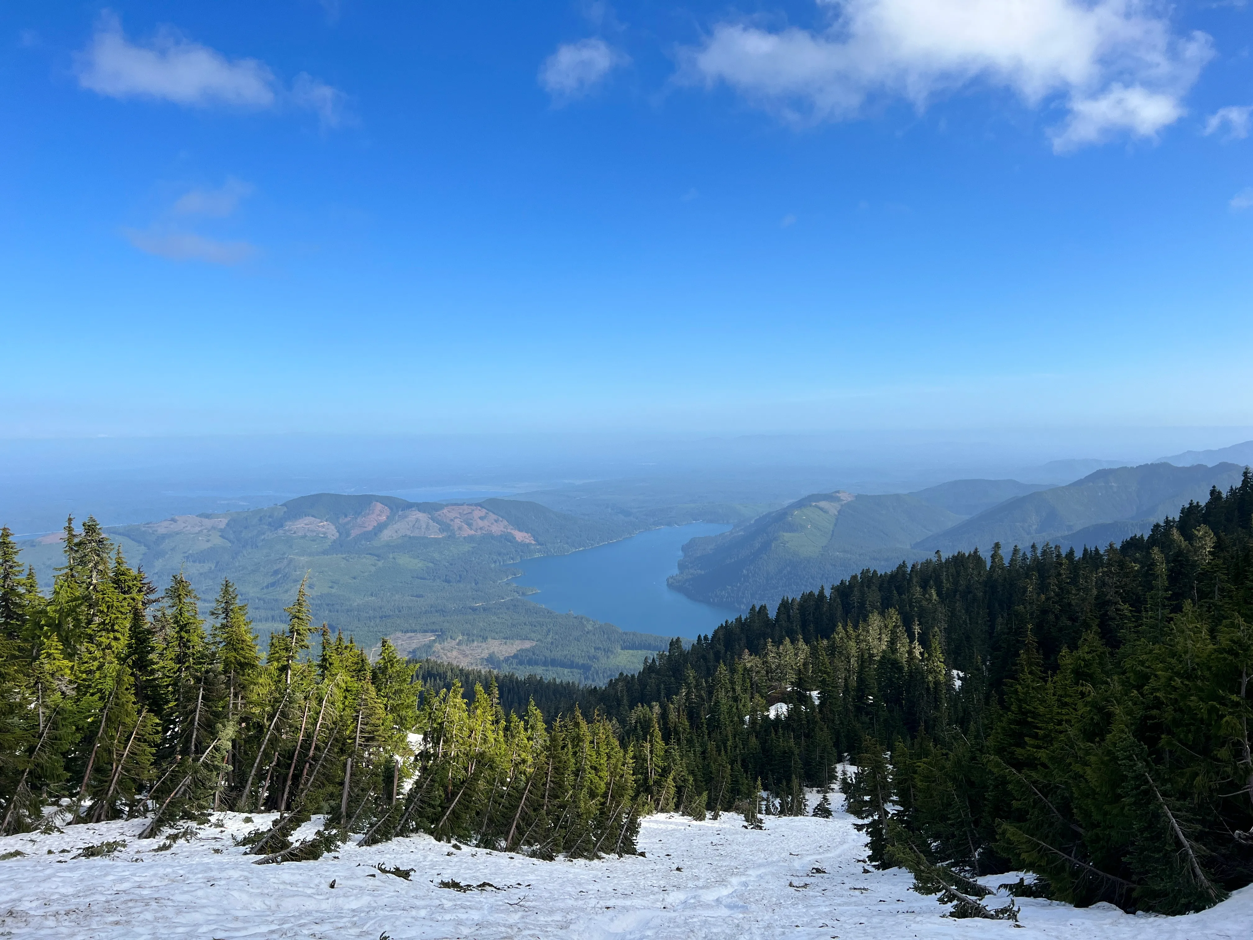 Looking down to Lake Cushman past a swath of avalanche-crushed trees