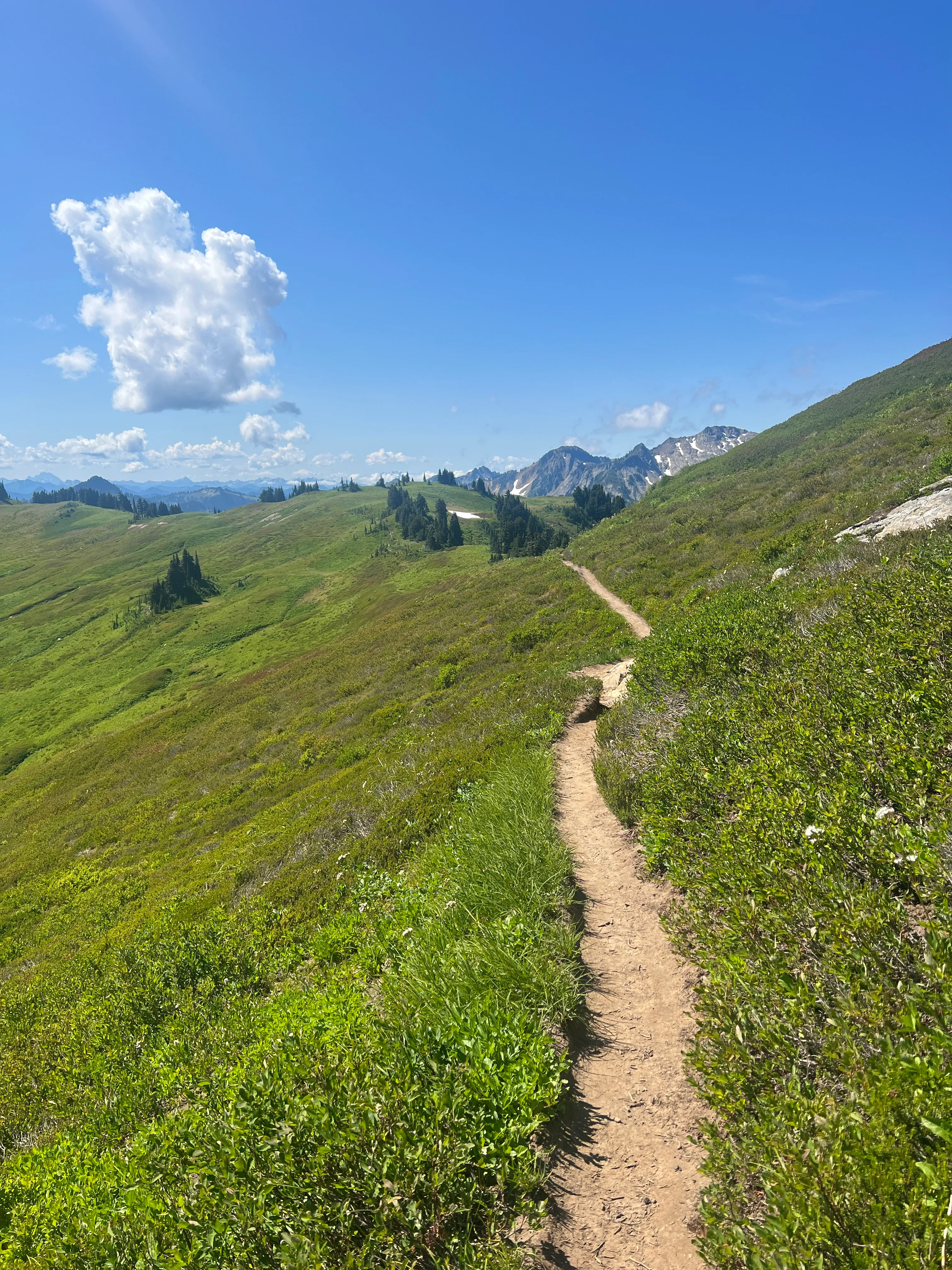 Buttery smooth single-track along the ridge on the way out