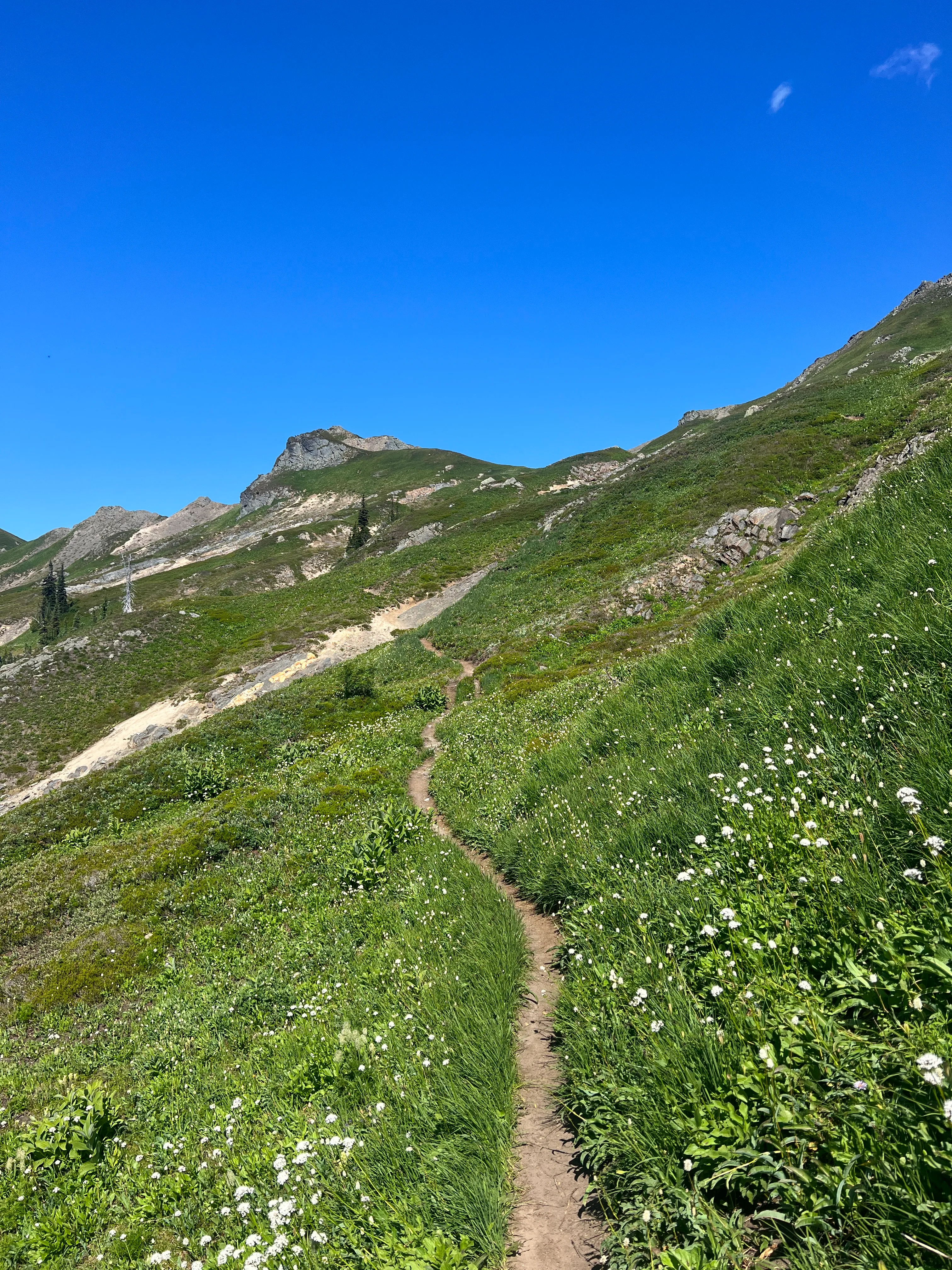 More buttery single-track melting away on the hike out