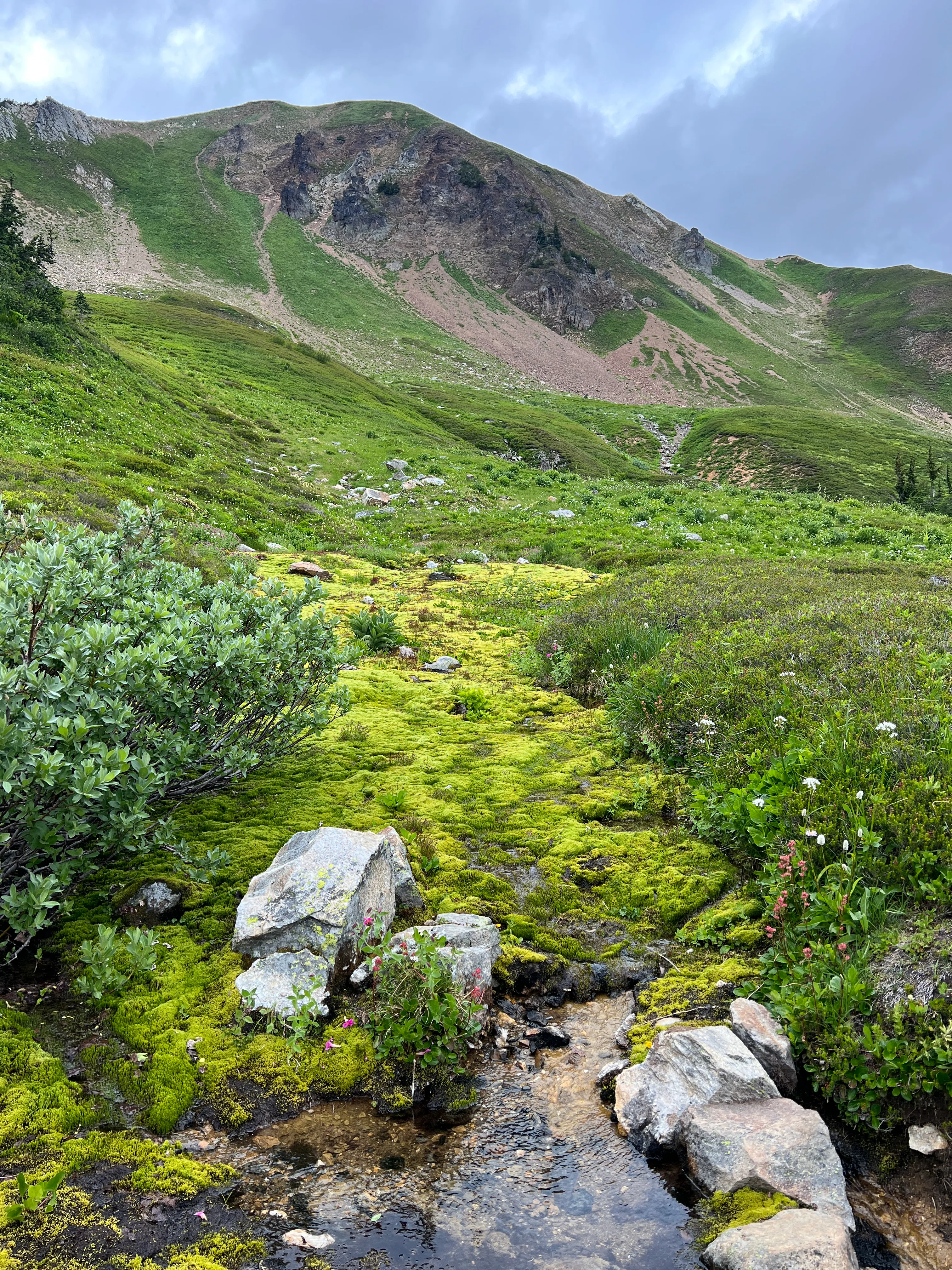 Pristine alpine wilderness stretching out with no development in sight