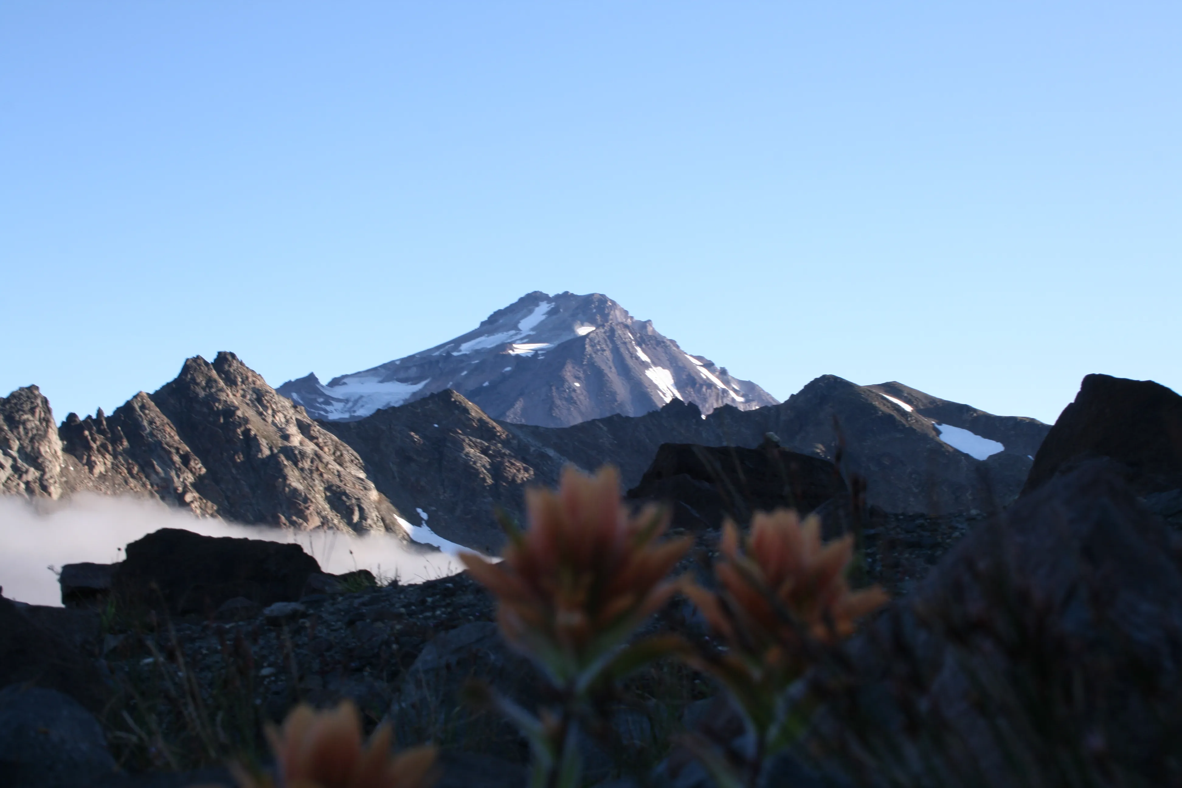Indian paintbrush growing just by our boulder camp