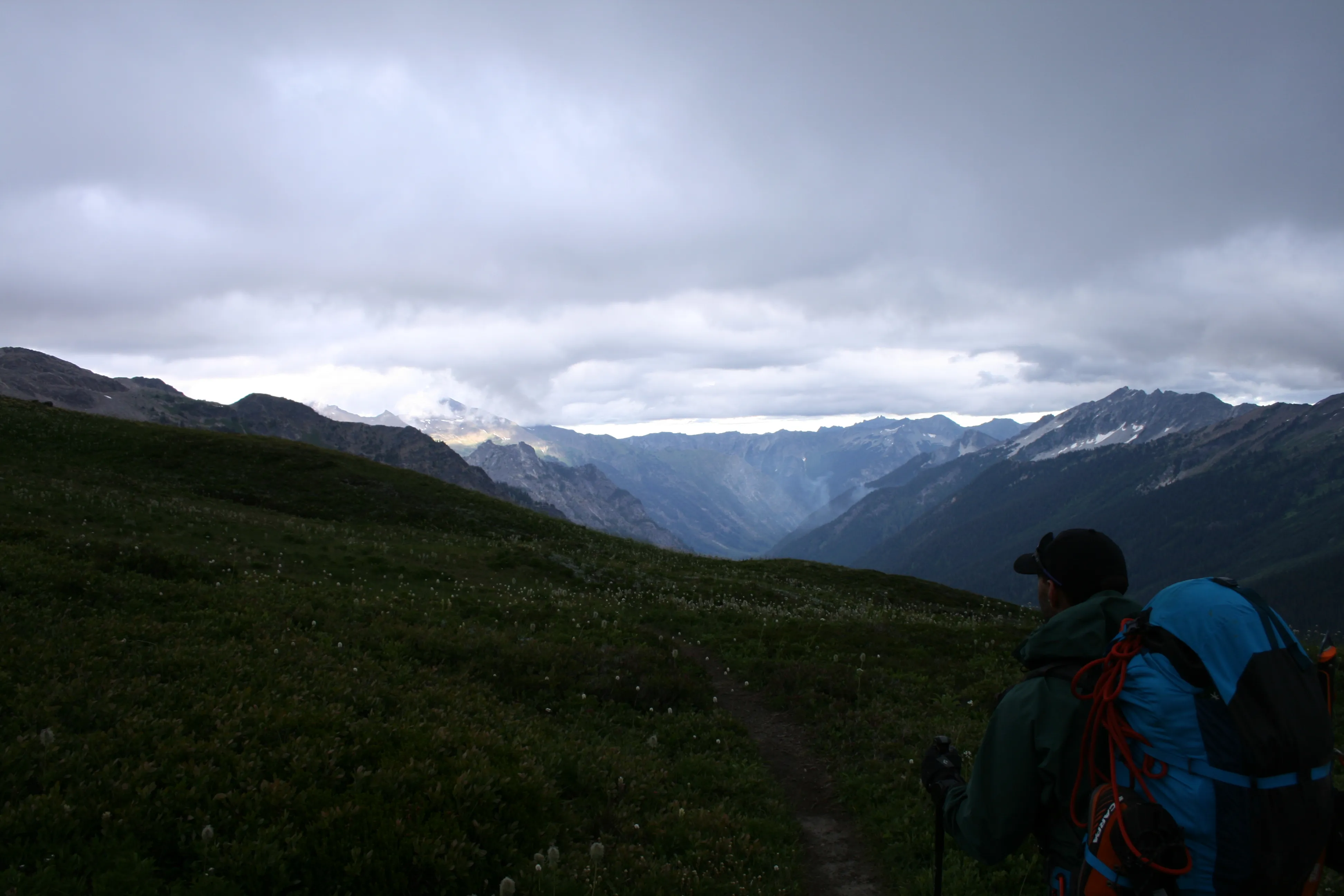 Jack in the alpine meadows under a cloudy sky on the approach