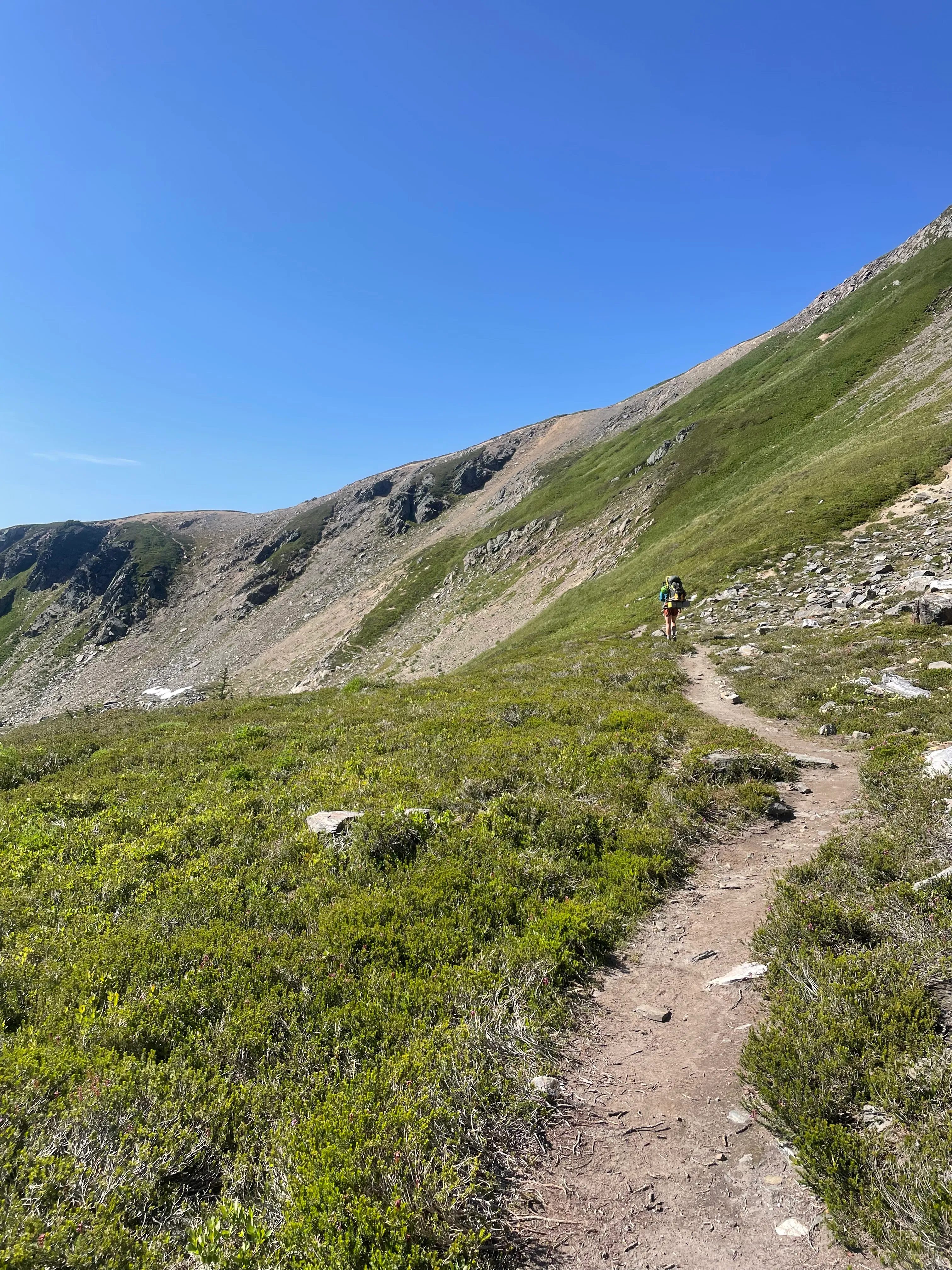 Single-track PCT winding through the high meadows