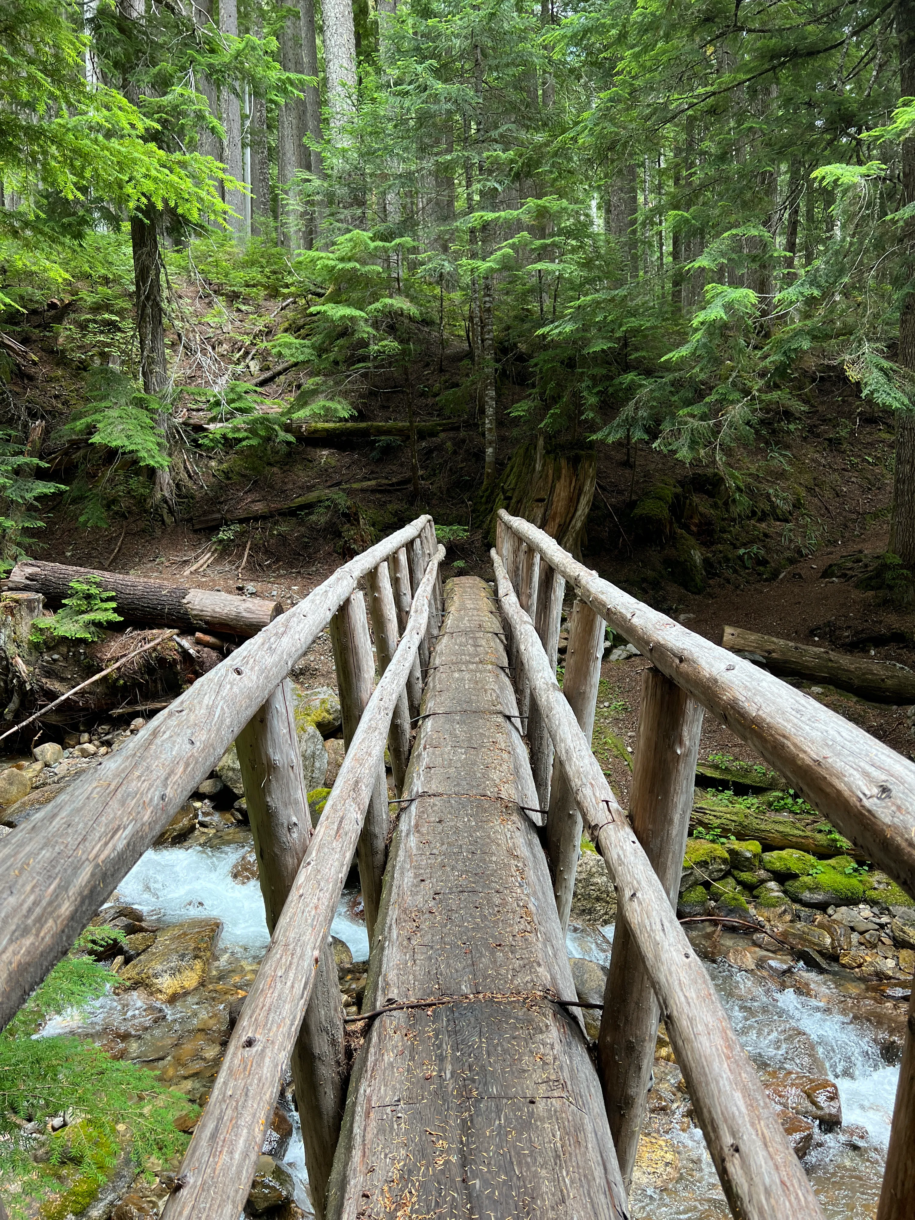 The log bridge across Red Creek on the North Fork Sauk River Trail