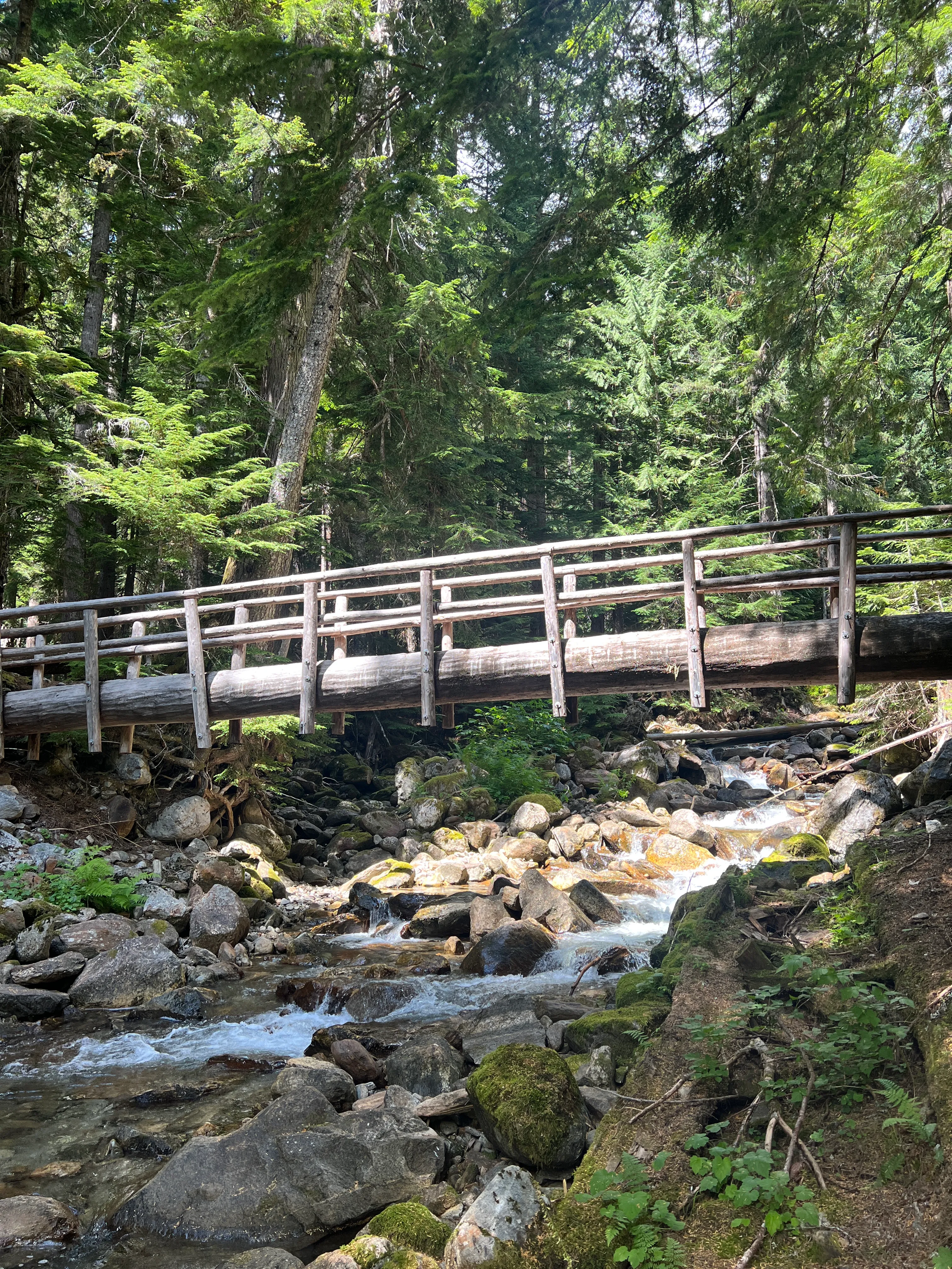 One last crossing of the Red Creek log bridge on the way out