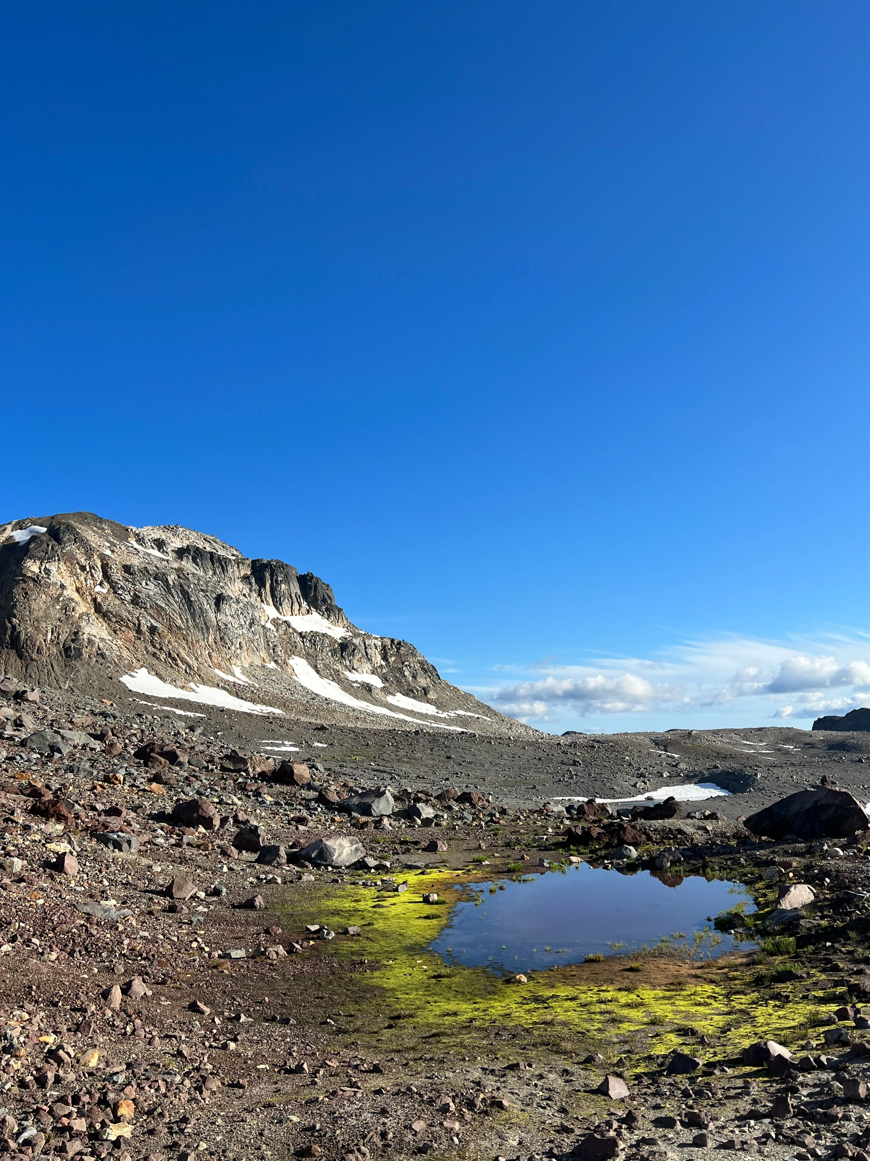 A tiny tarn, Jack's favorite water source of the trip