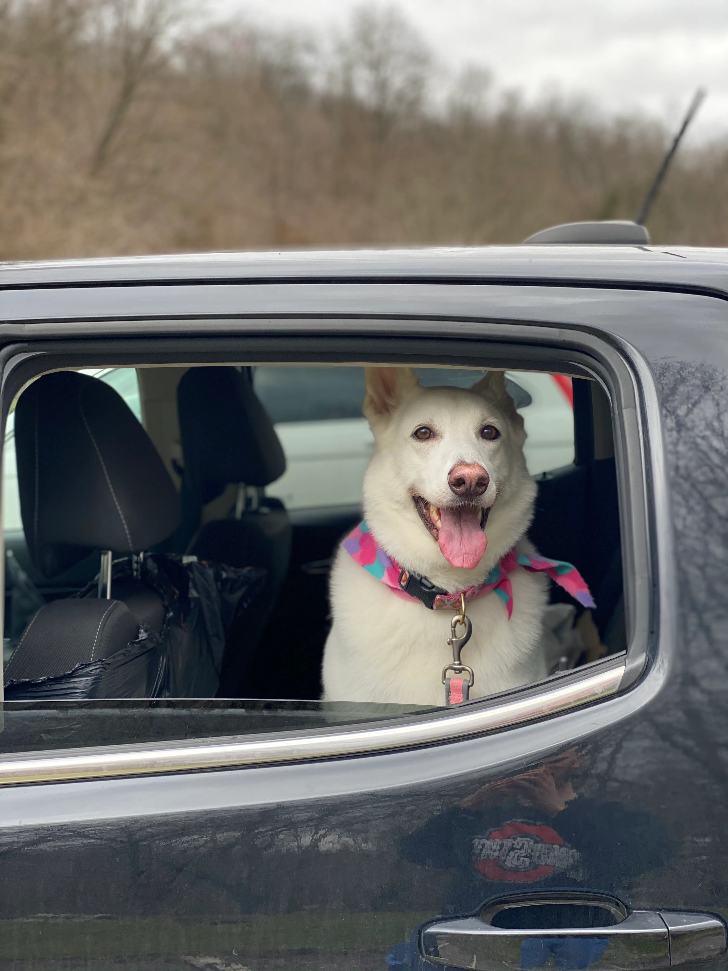 Stella out in the mountains, one of my favorite memories of her