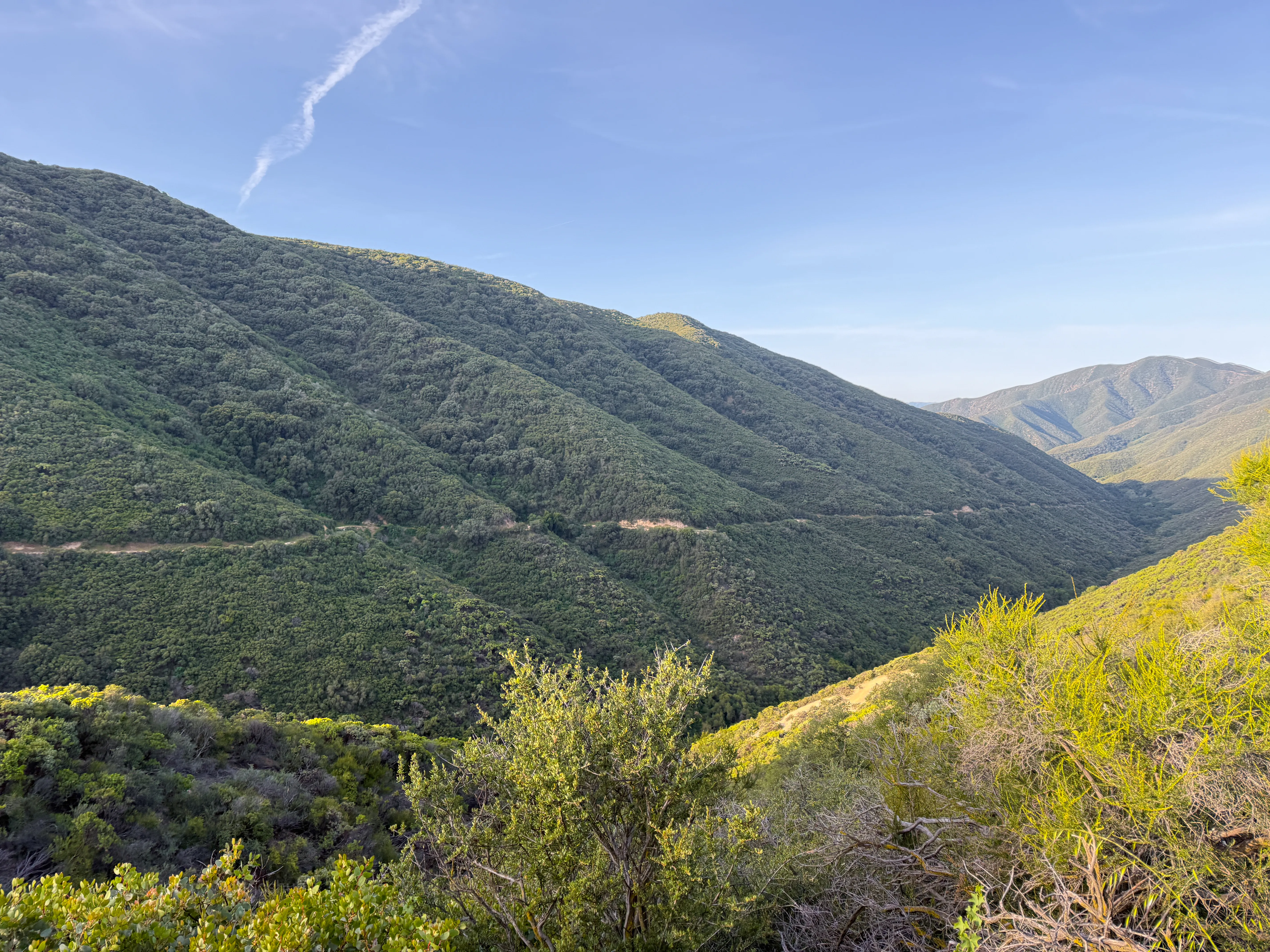 The Leona Divide ridgeline early in the race