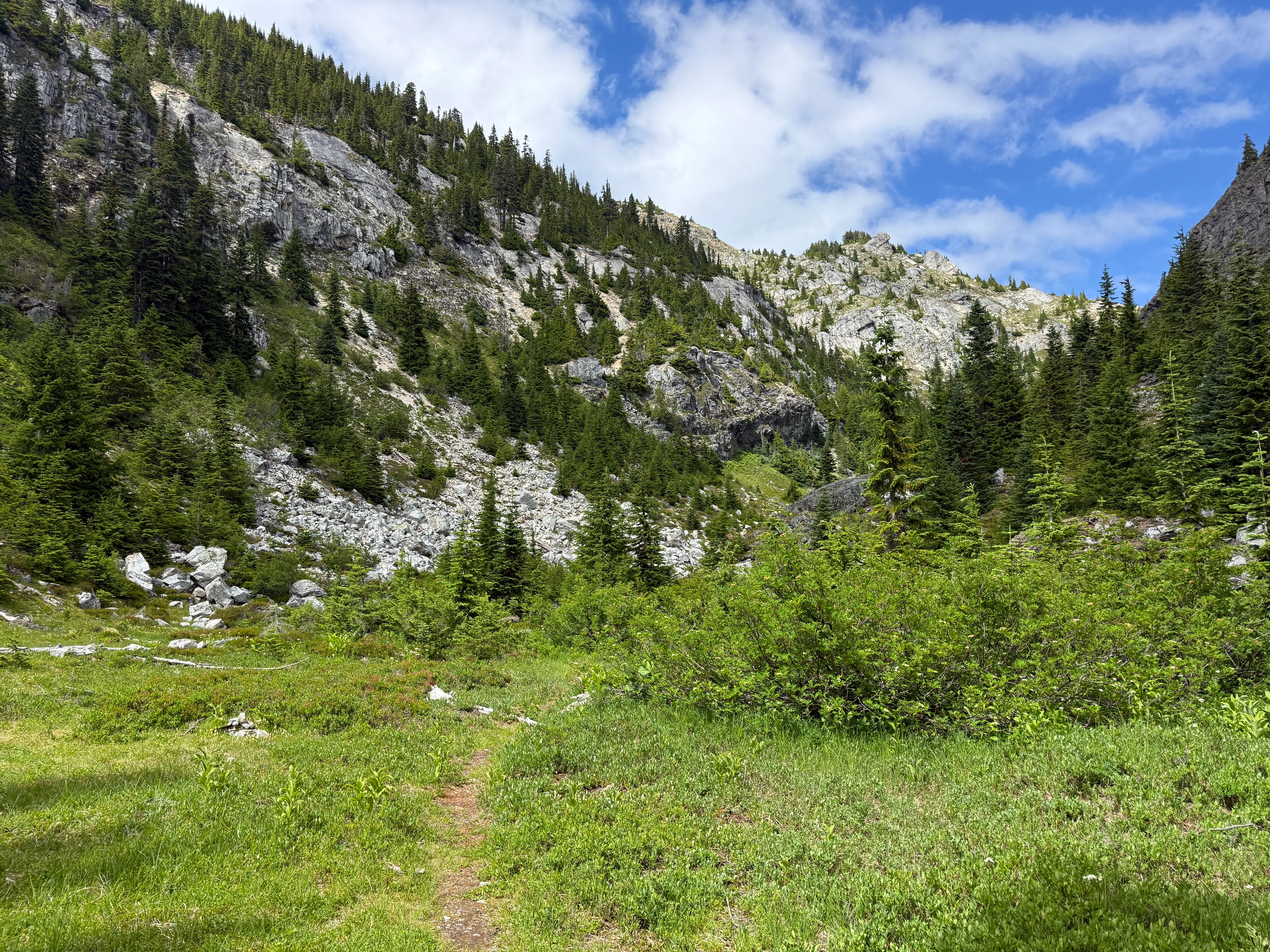 Looking back at Cave Ridge and the alpine meadows