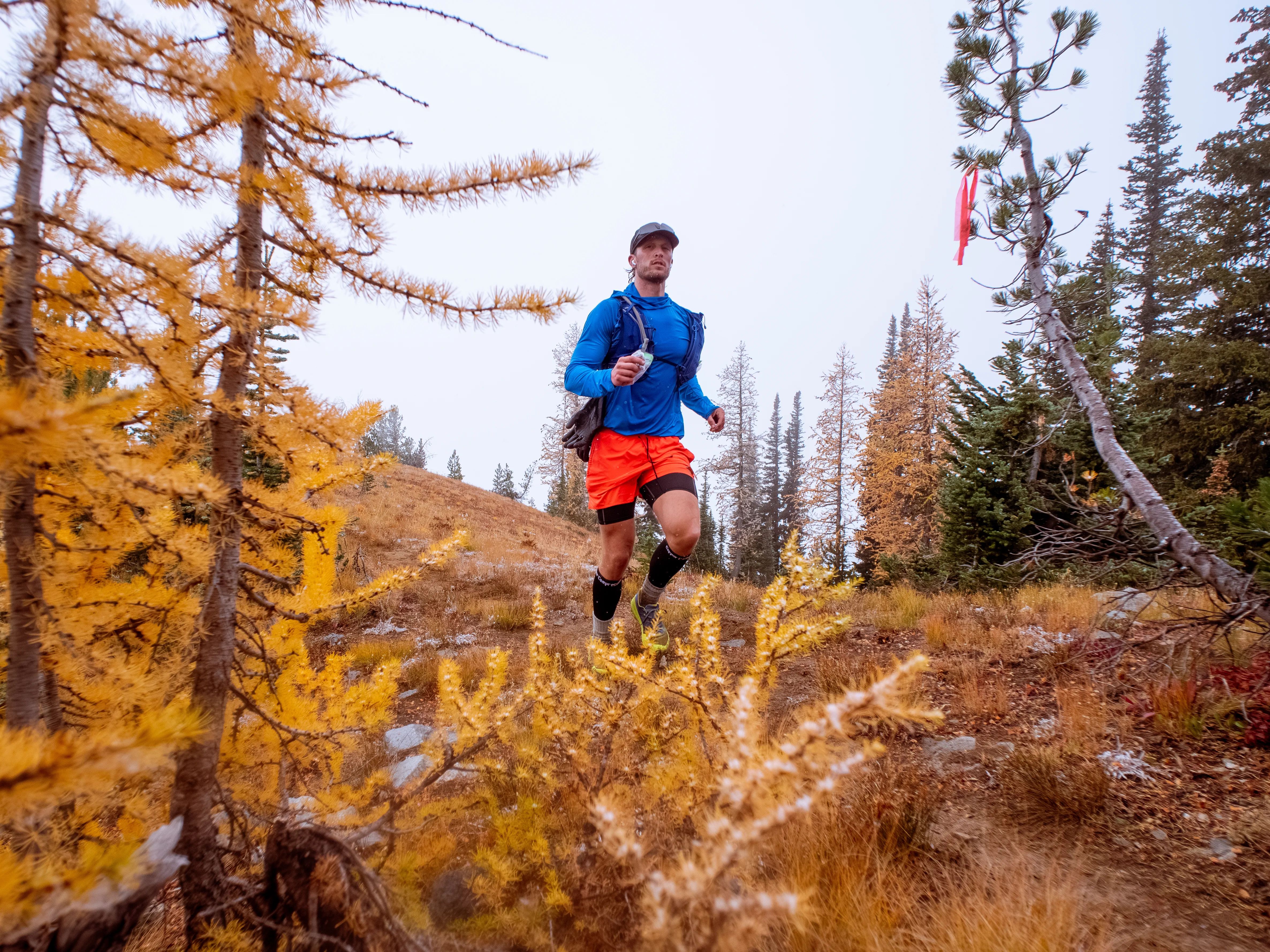 Mad Meadows 50k: Reap What You Sow