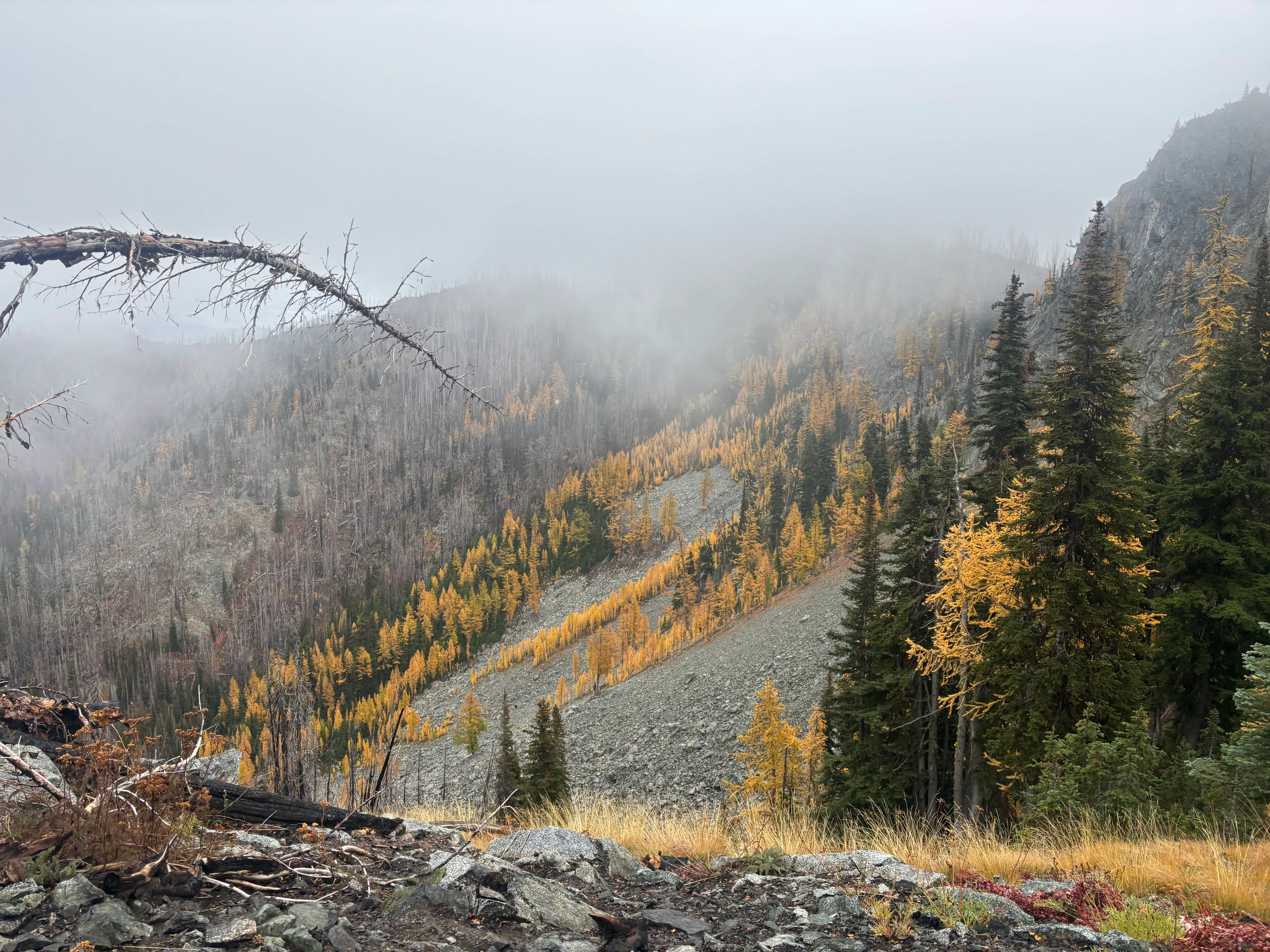 Larches and ridge views on the descent