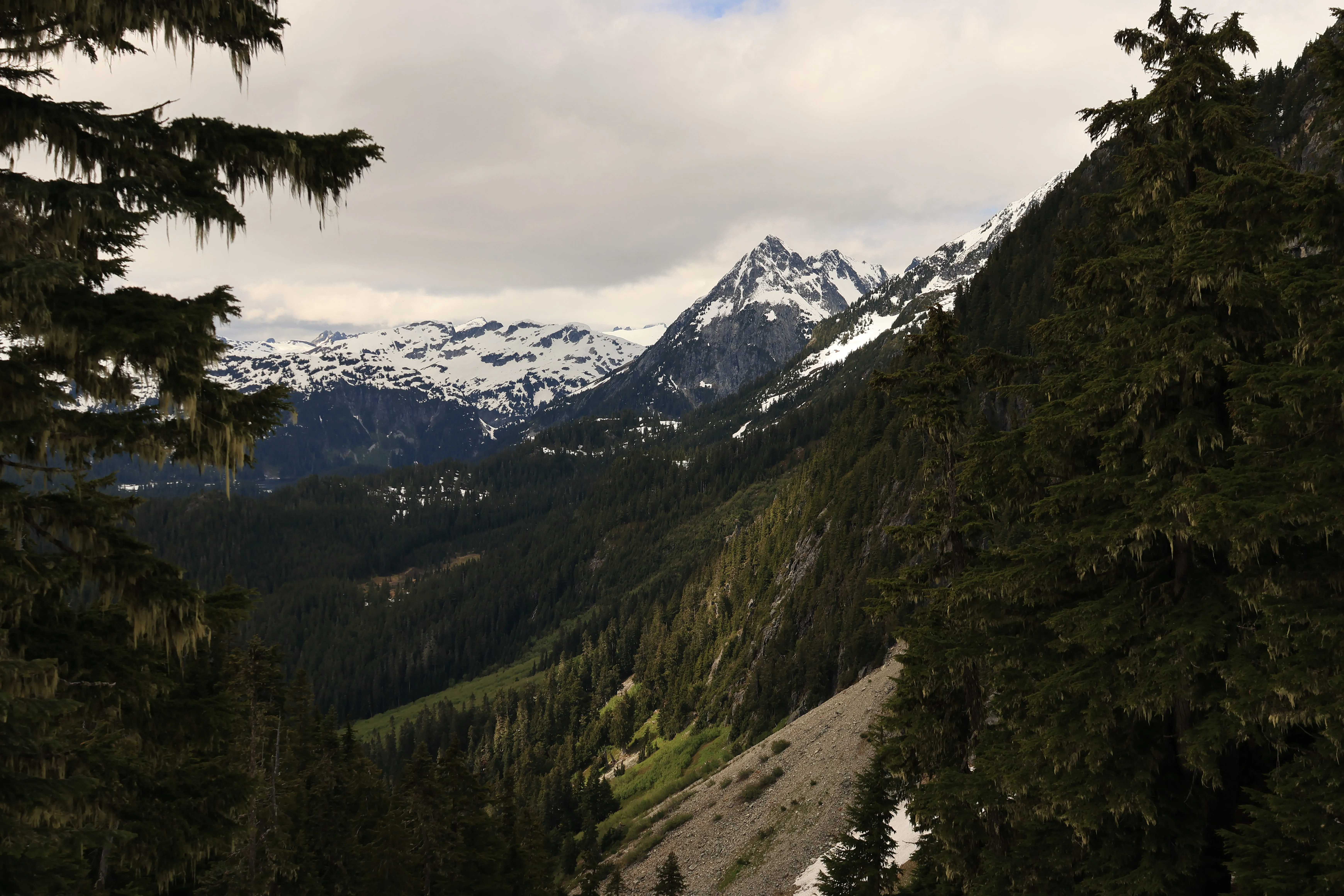 Topping out of the forest with snowy Canadian peaks ahead