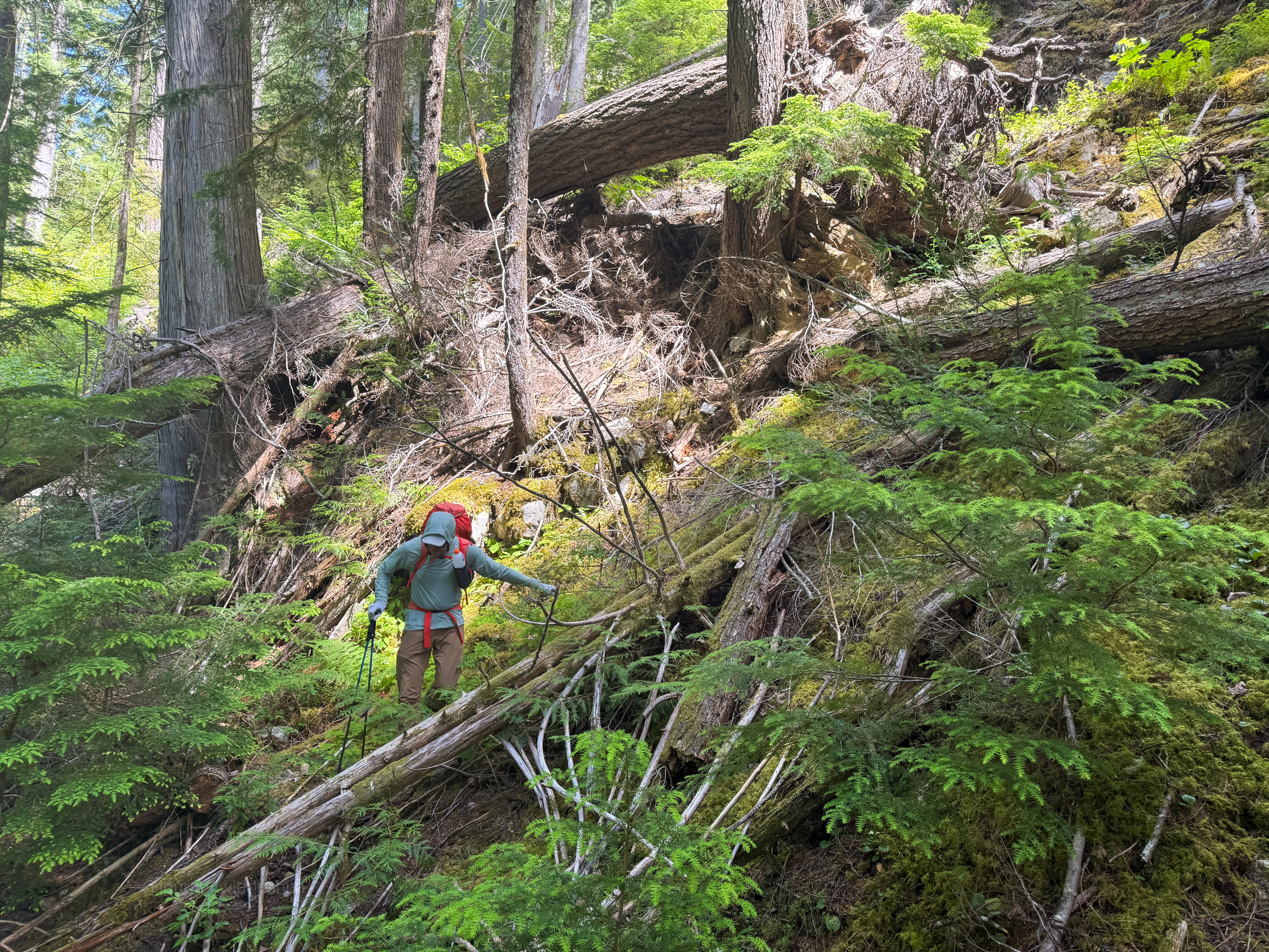 The steep 50 ft drop off the Thunder Creek Trail down to the crossing