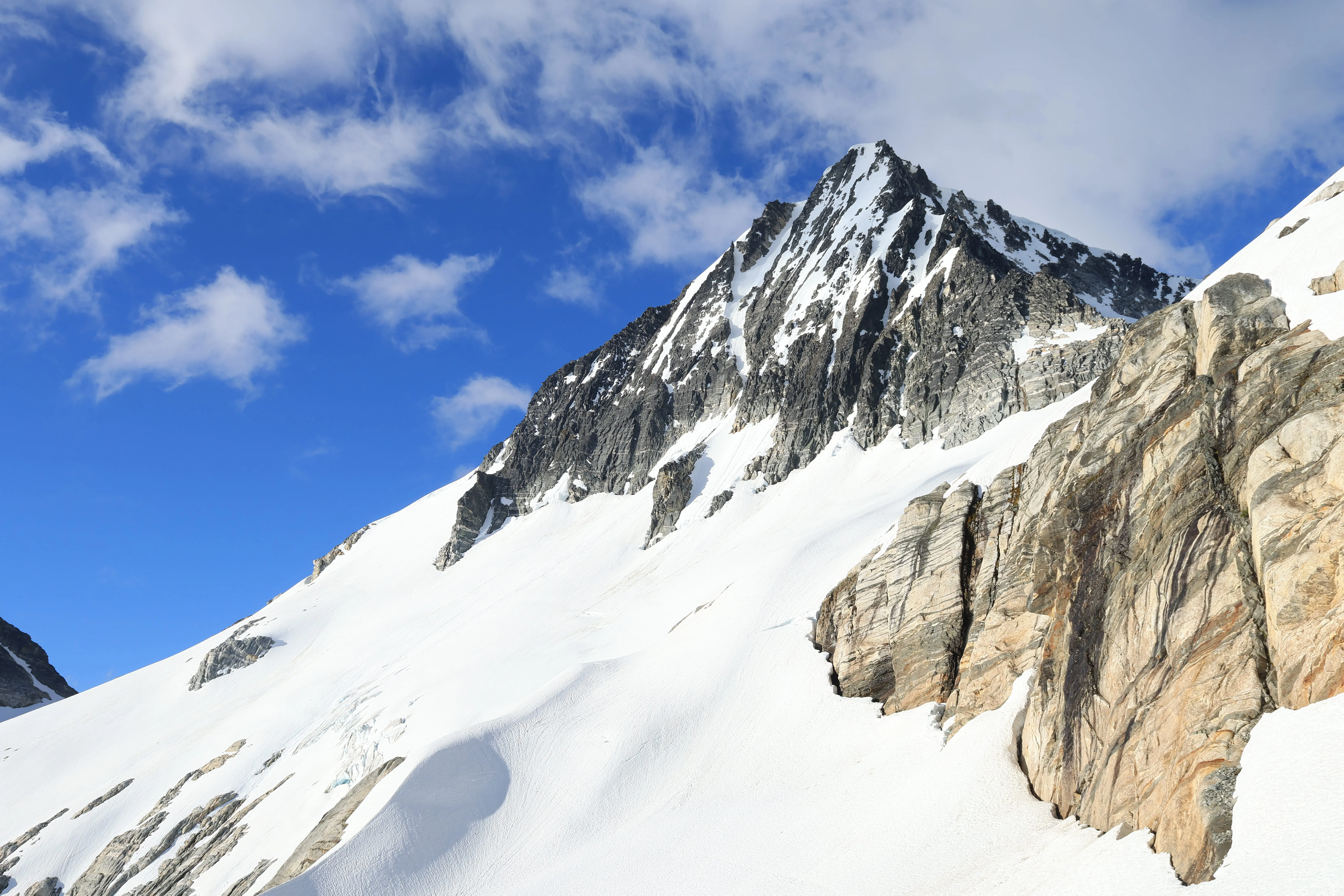 Open crevasses visible on the Borealis Glacier below Mount Primus.