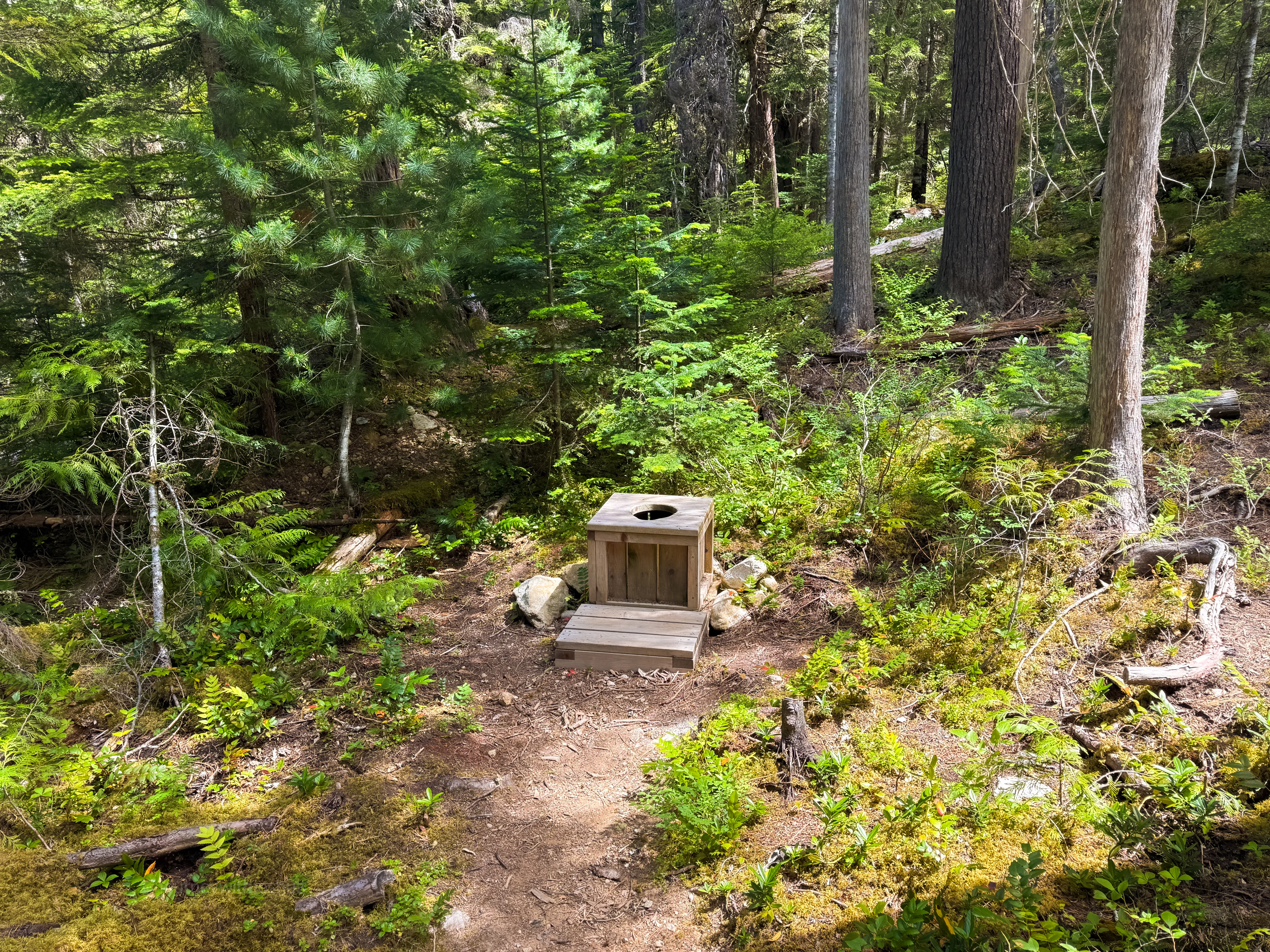 The open-air camp toilet at Camp McAllister