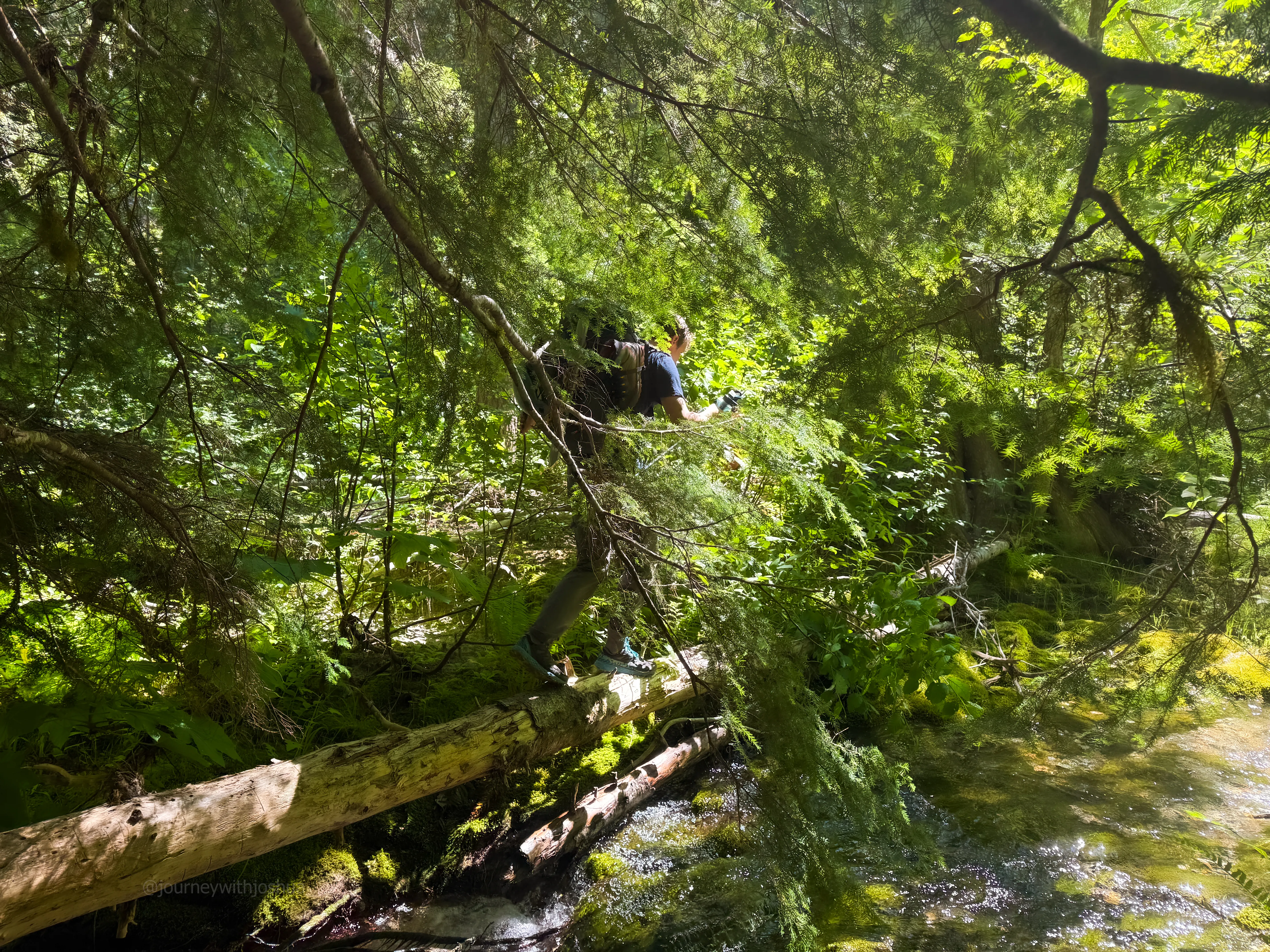 Dan bushwhacking the last stretch before rejoining the Thunder Creek Trail