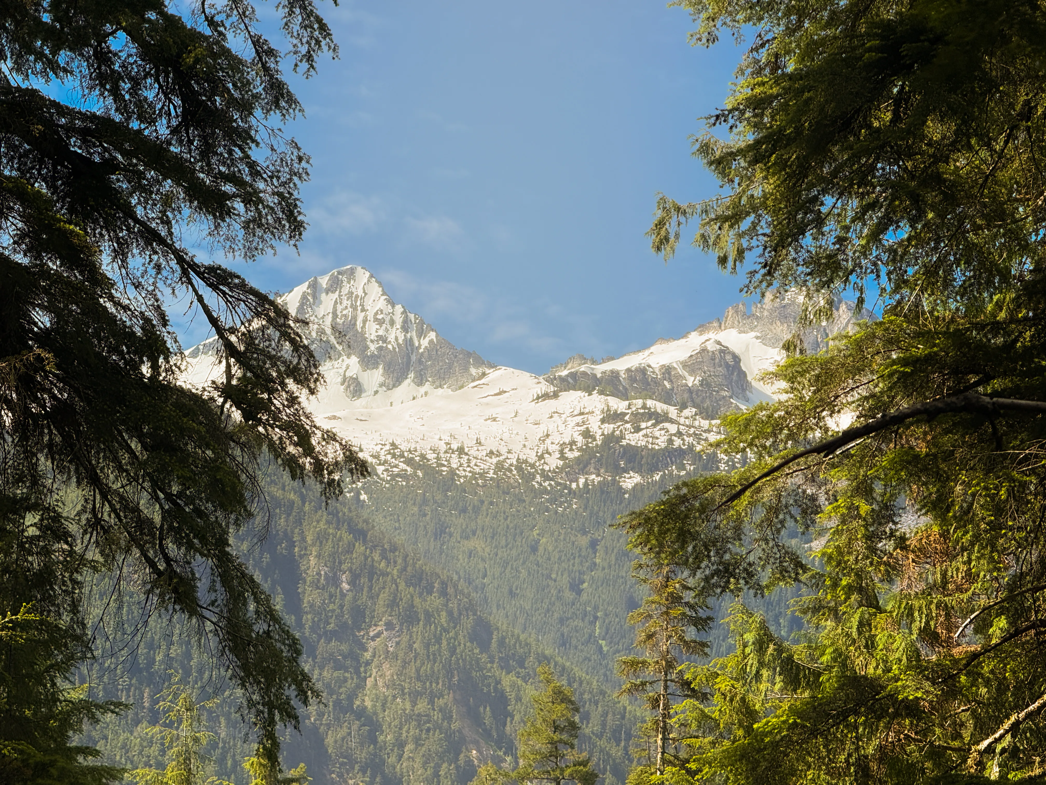 First view of Tricouni and Primus Peak about 5 miles up the Thunder Creek Trail