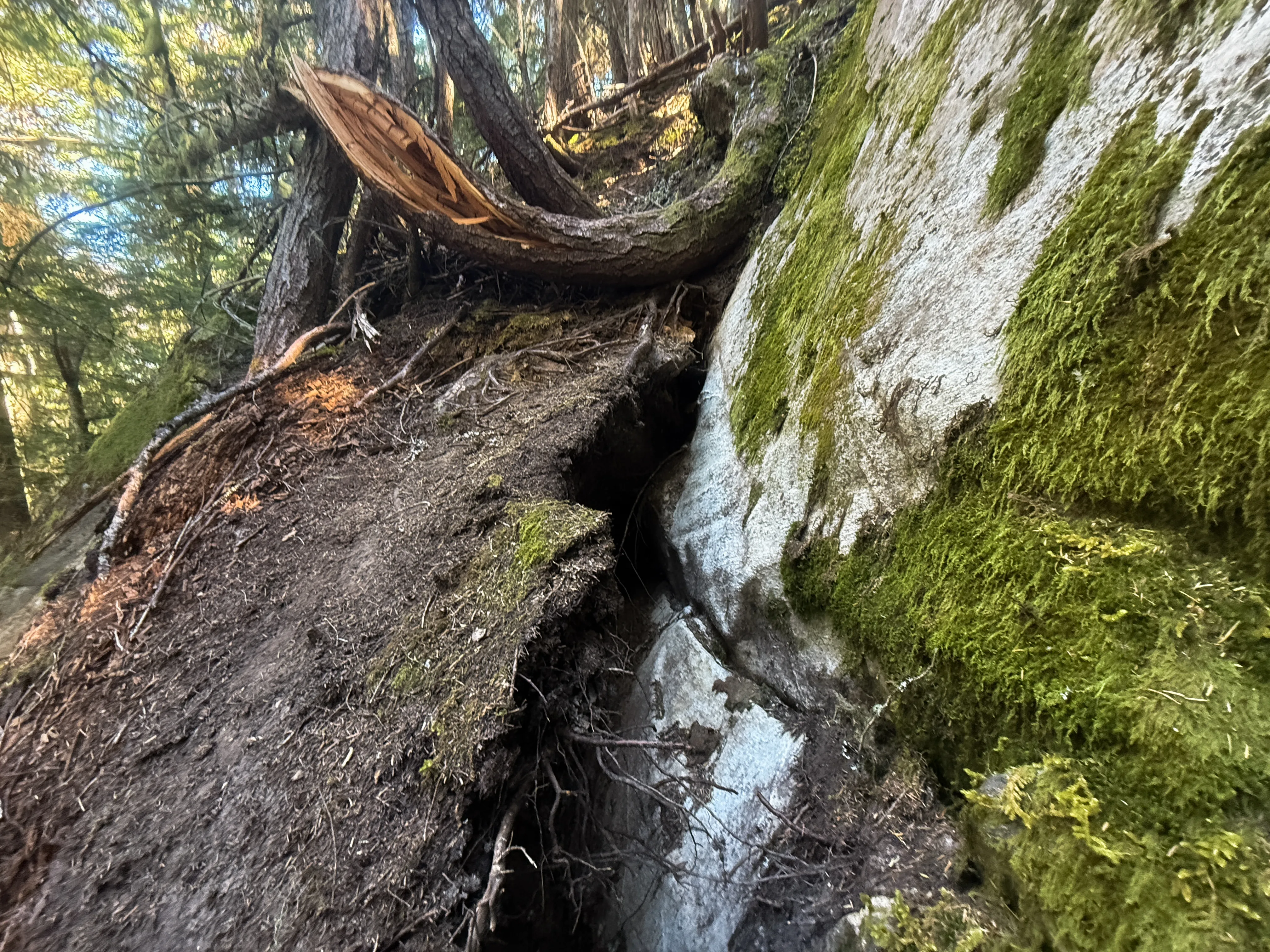 Close look at the dirt moat, a loose plot of dirt separated from the rock with a dark hole