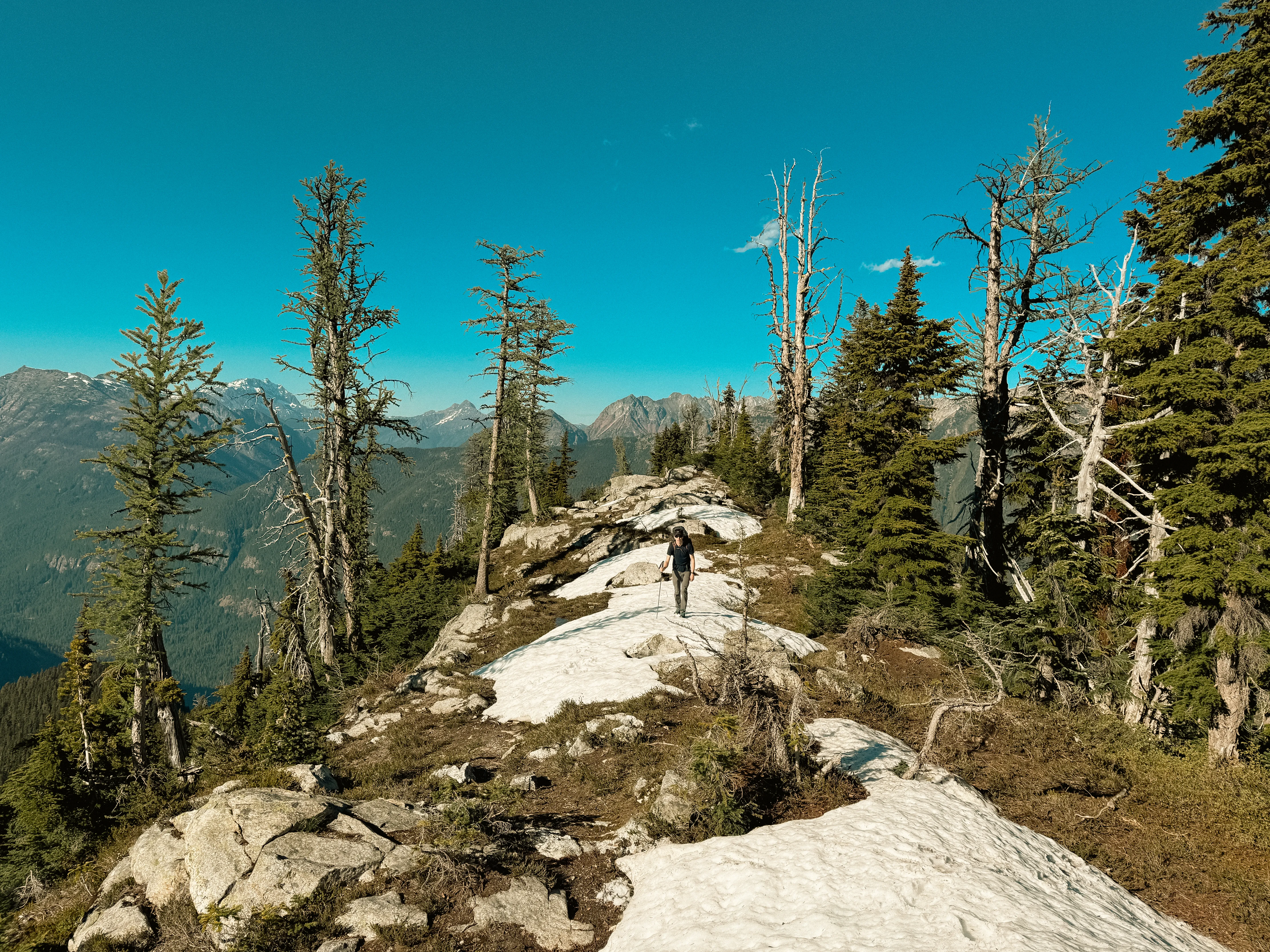 Dan greeted by the larches at the top of Lucky Ridge