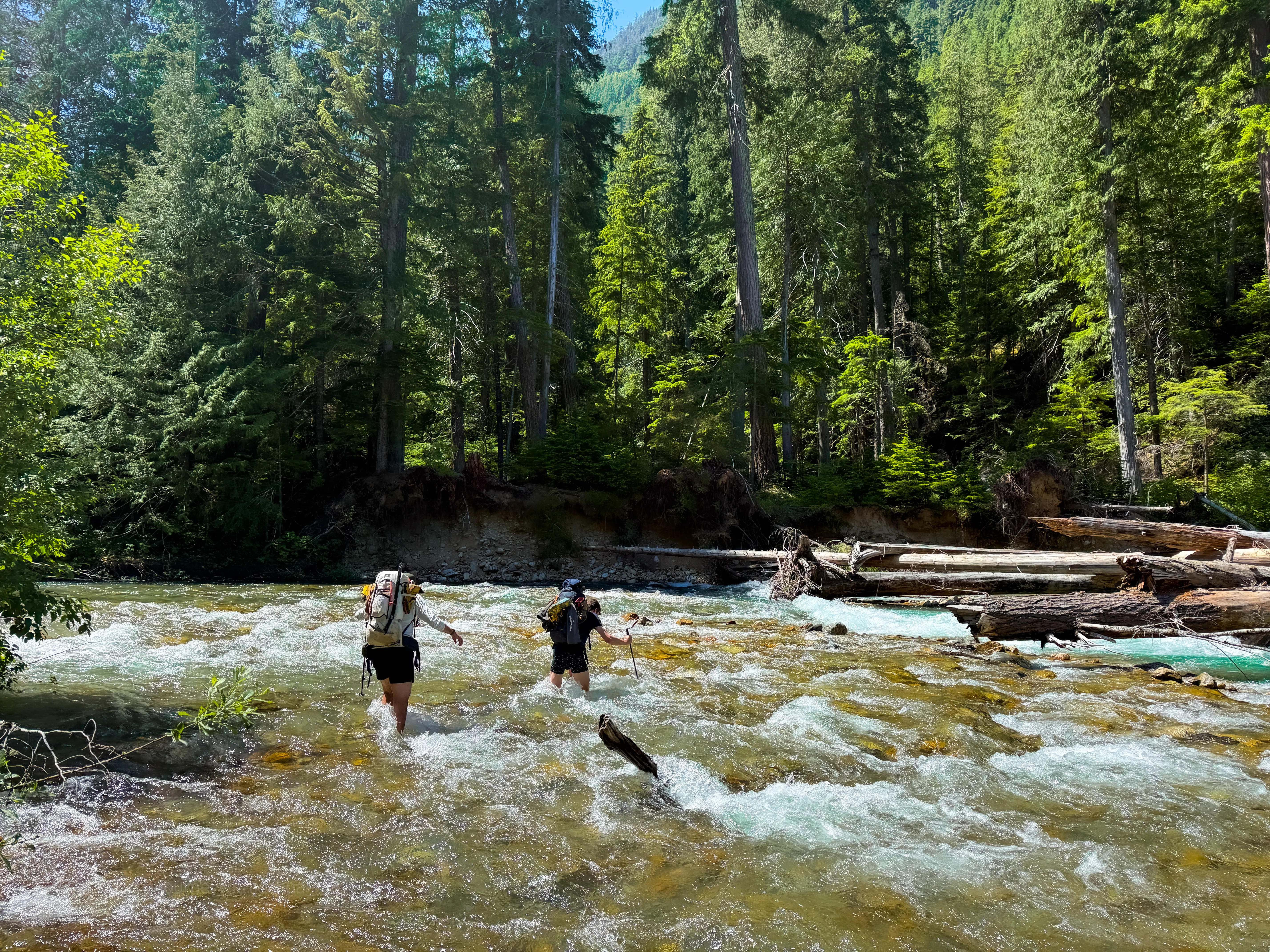 Thunder Creek raging through the log jam crossing