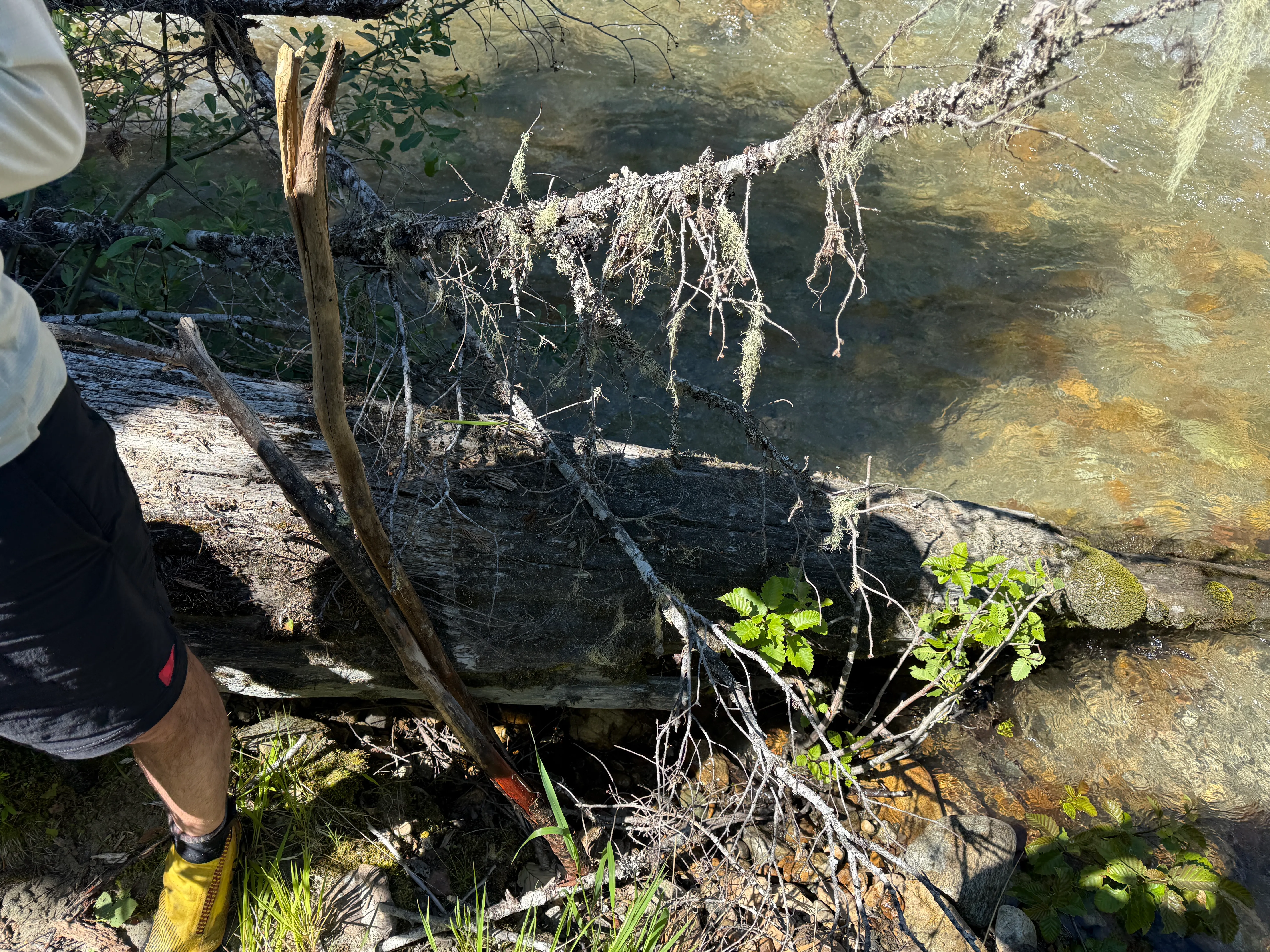 The crossing sticks left propped up for the next party without poles