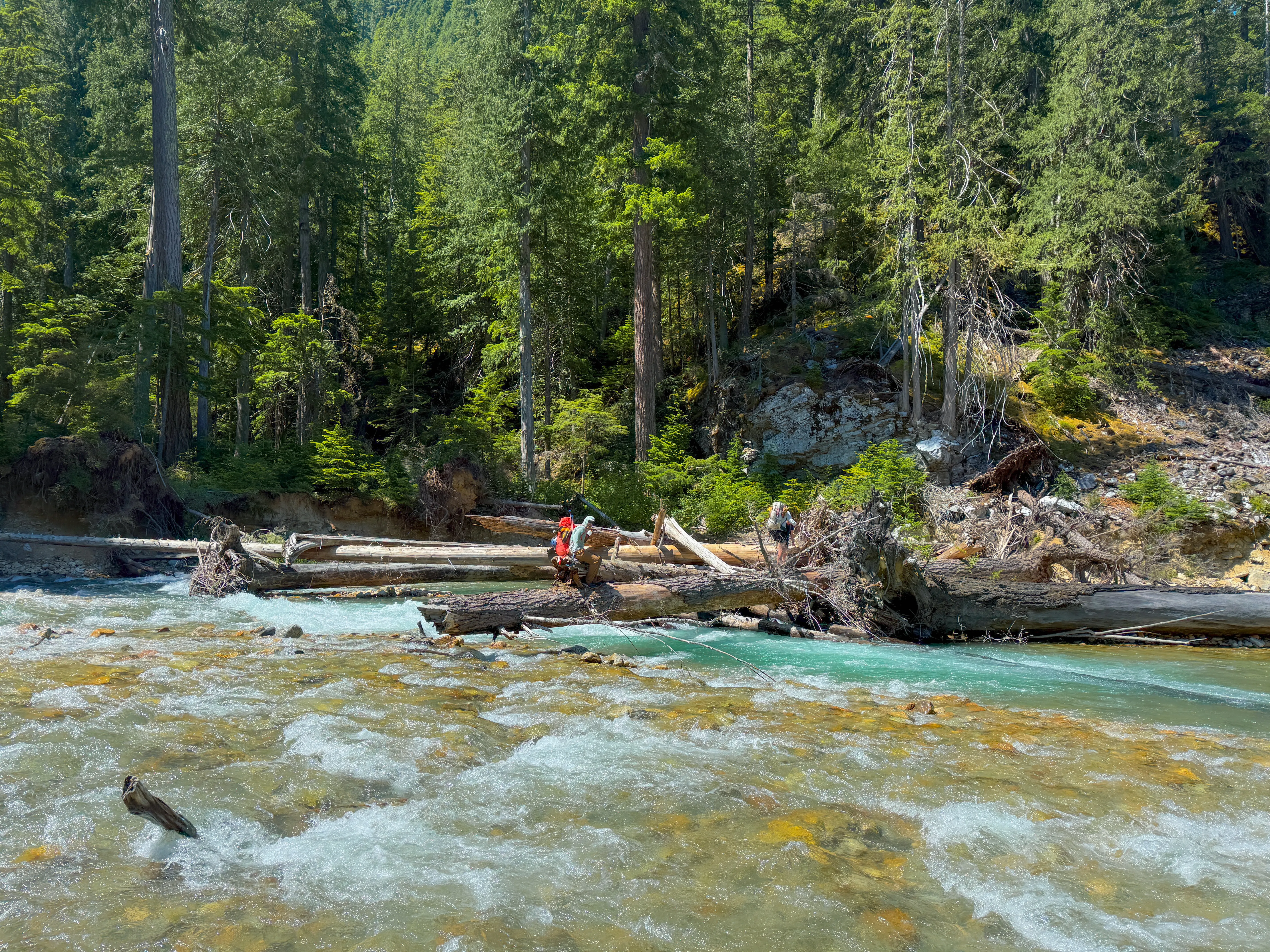 The team across Thunder Creek at the log jam