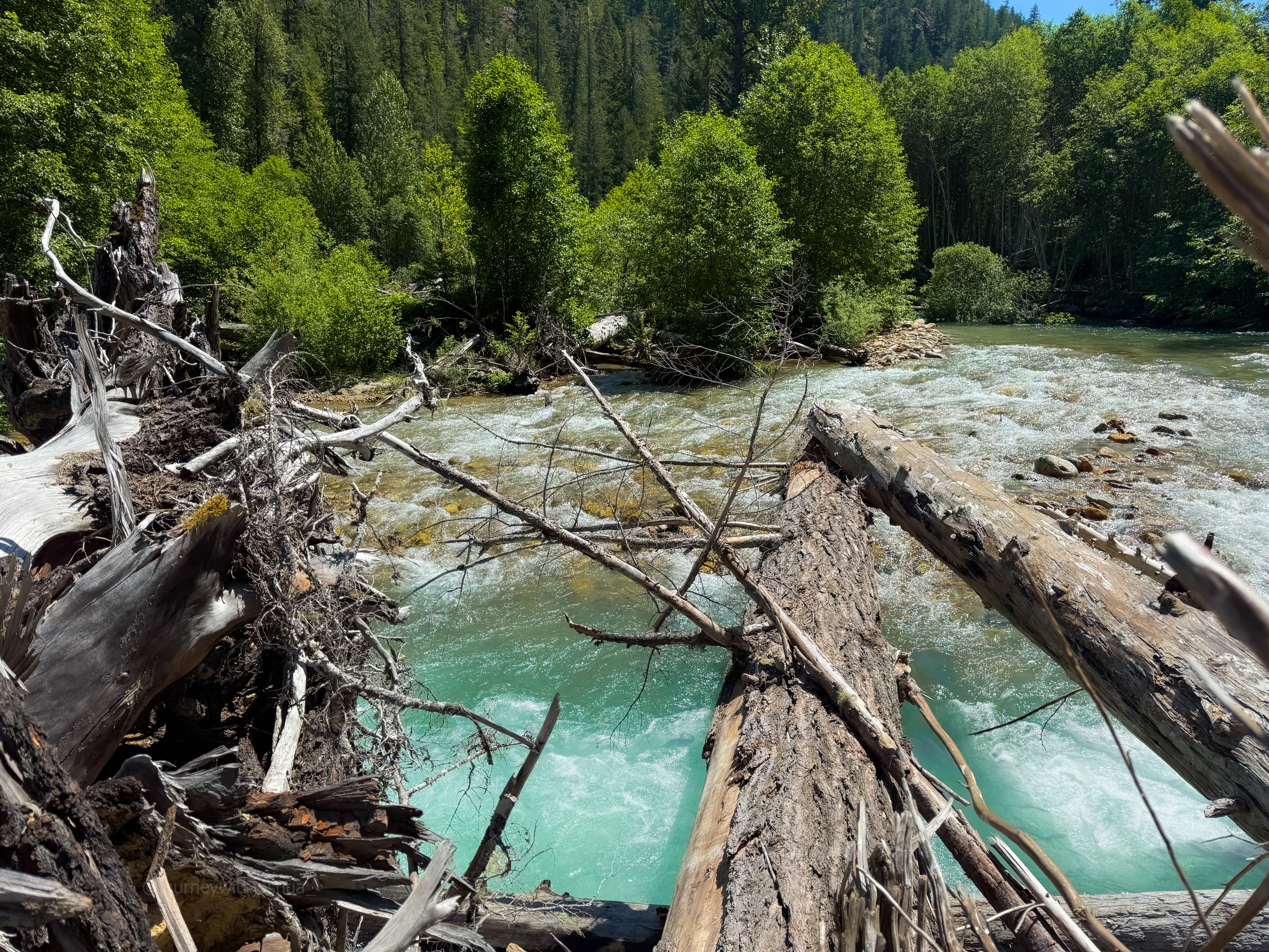 The log jam crossing over Thunder Creek on the way to Primus Peak