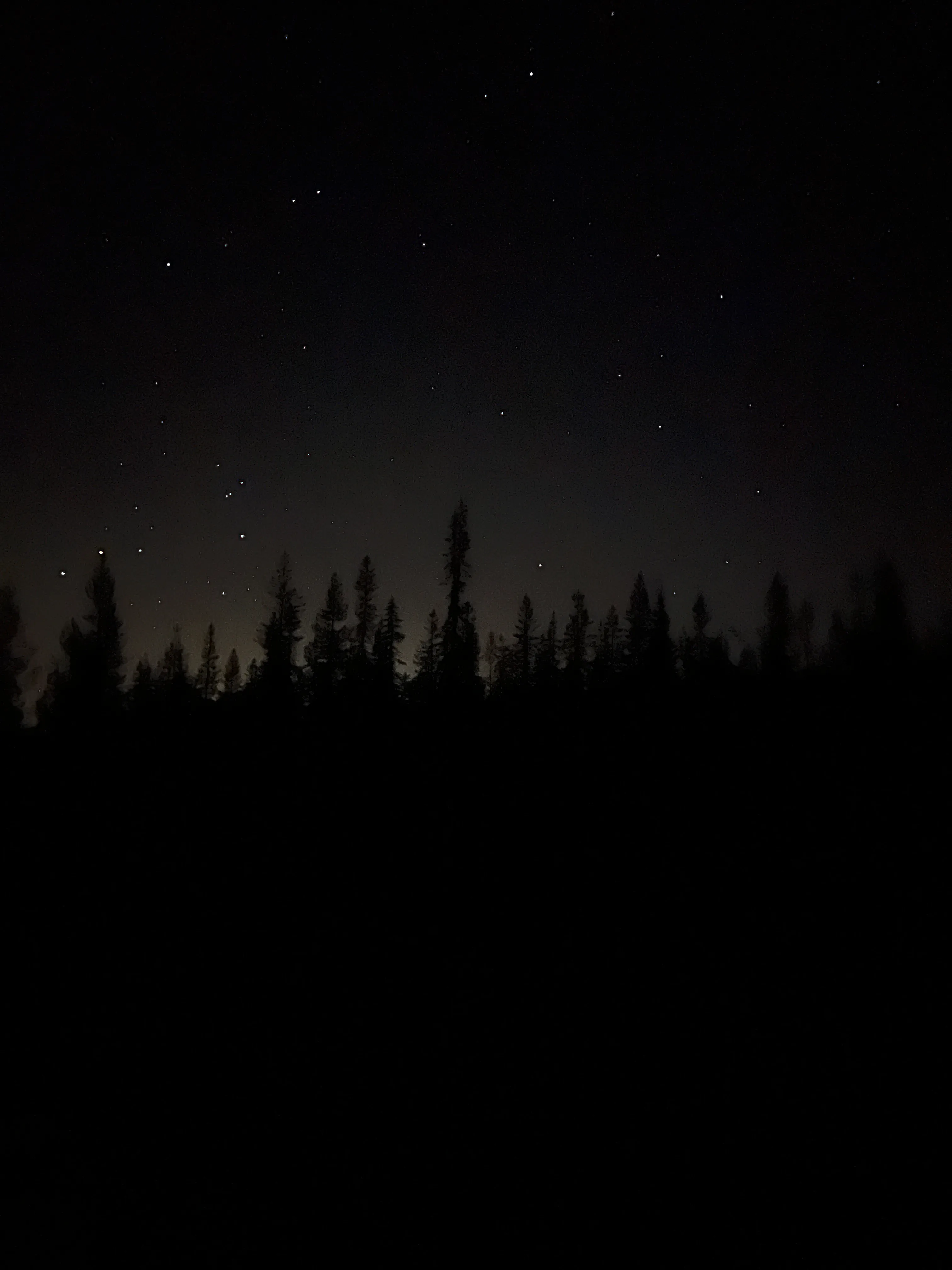 Stars over the pines on the dark approach trail