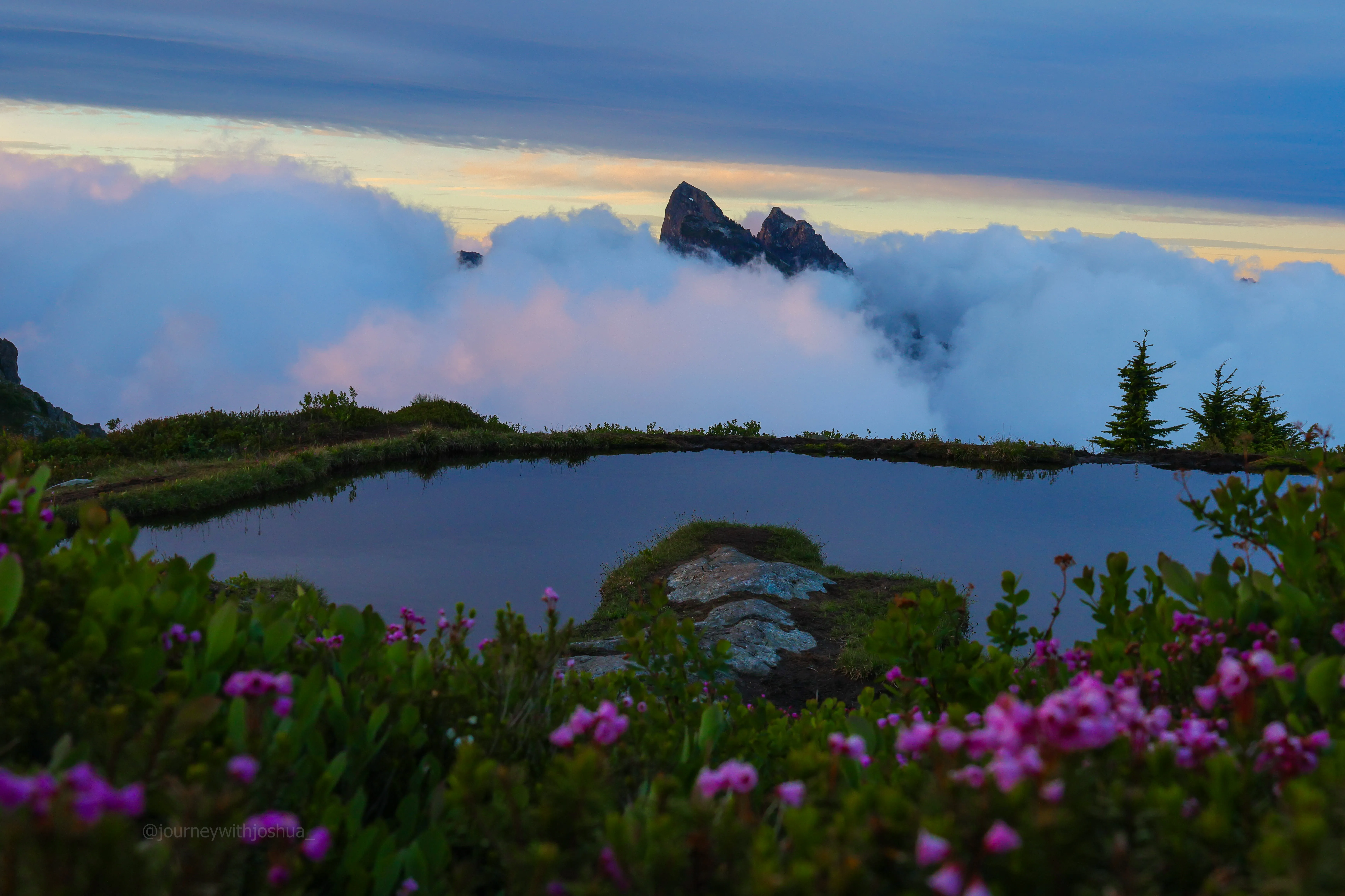 The tarn and alpine wildflower meadows with Baring Mountain rising above the cloud inversion