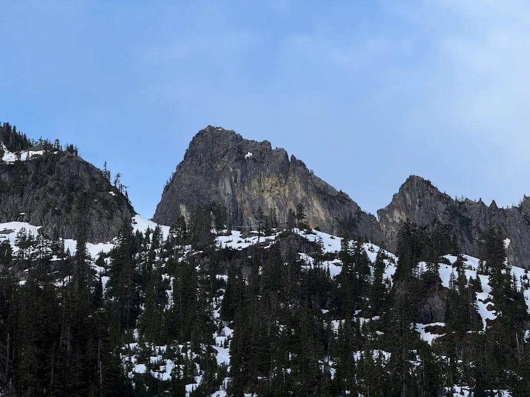 The huge fallen tree across the Snow Lake Trail