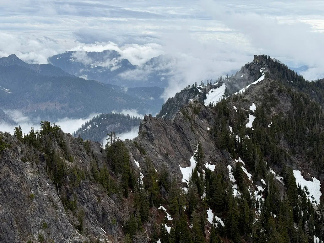 Fog rolling through the trees on the approach to The Tooth.