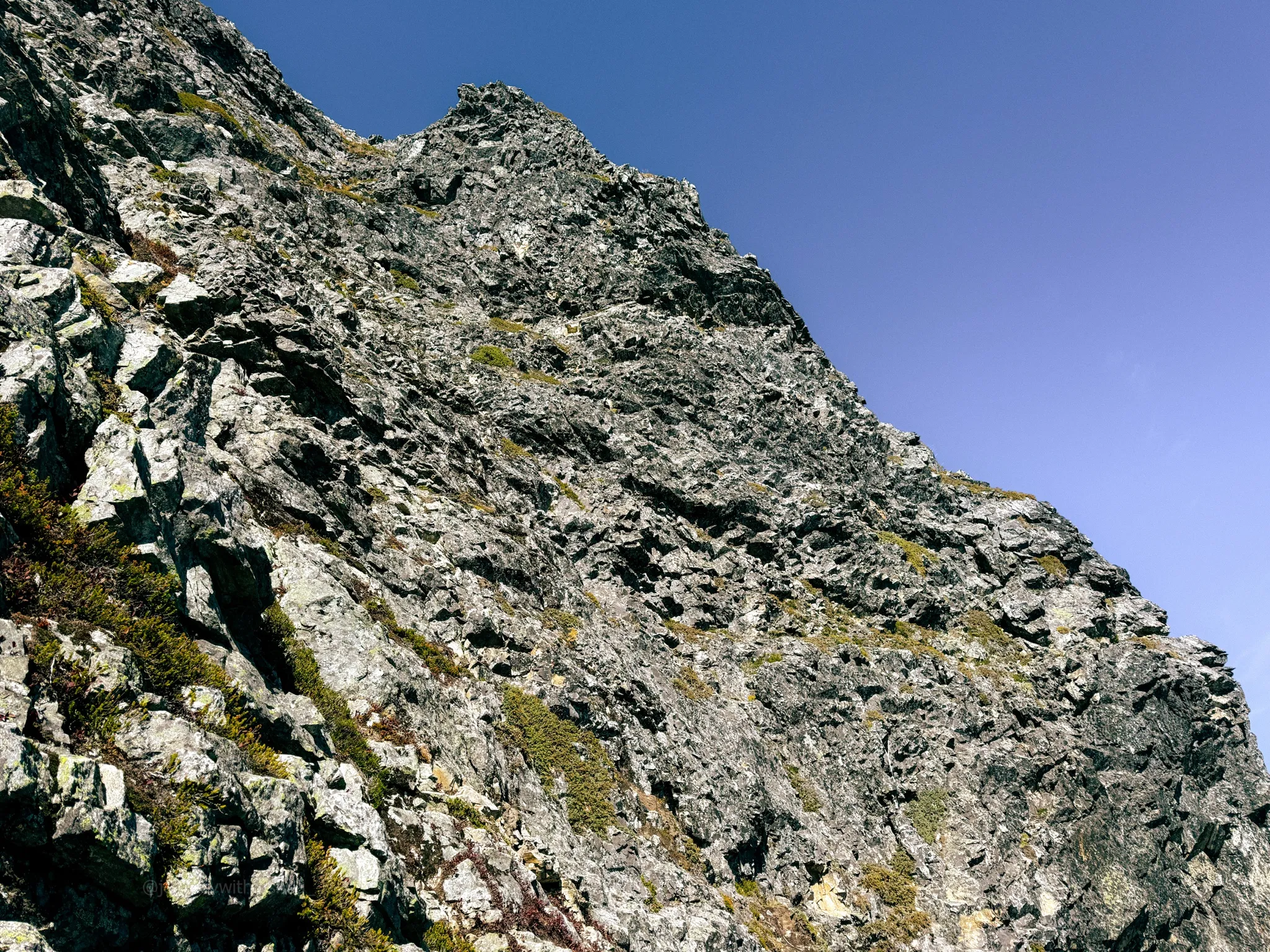 The final heather ledges and loose rock scramble to the summit of Mount Triumph, tat visible in lower right corner
